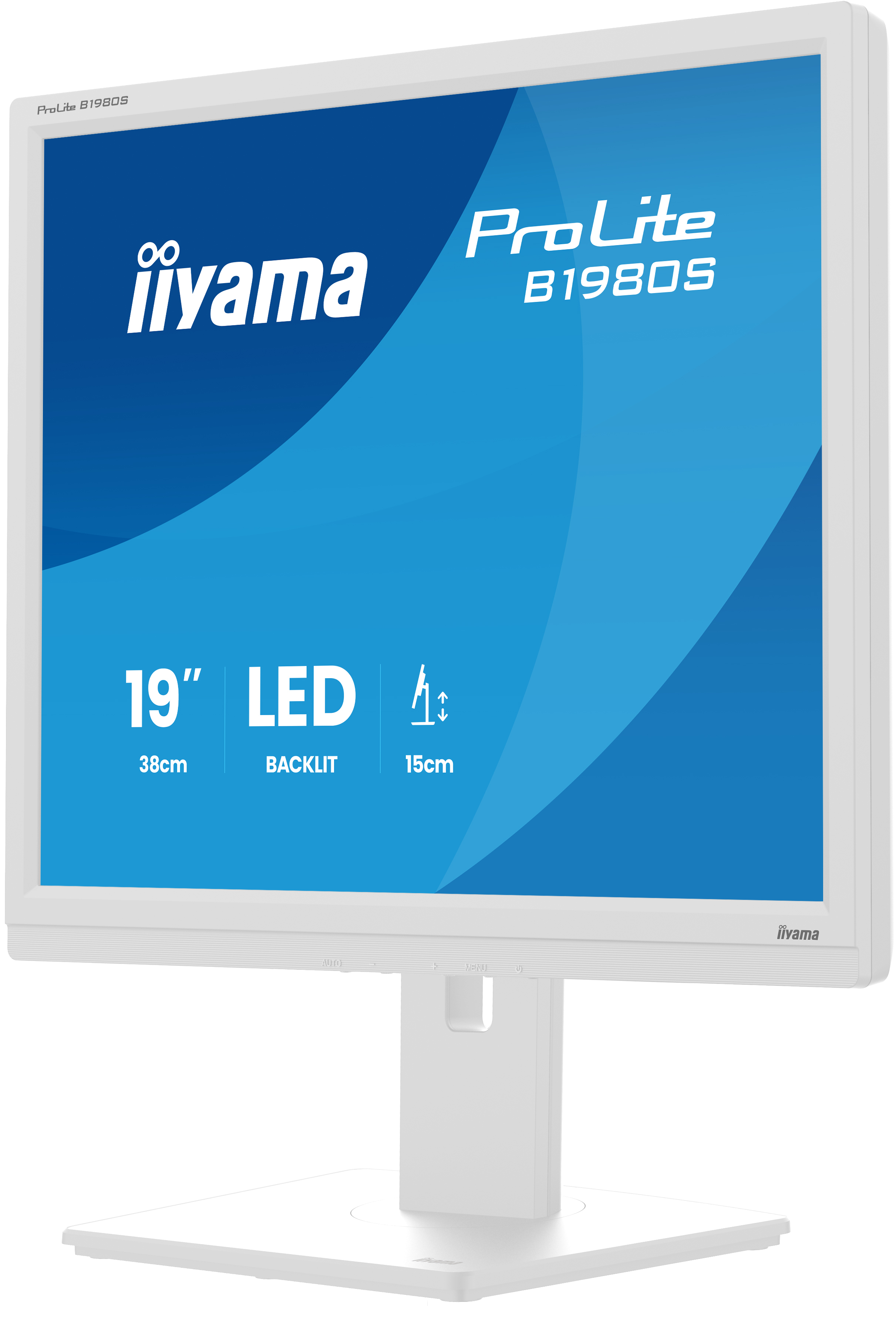 IIYAMA Monitor B1980S-W1