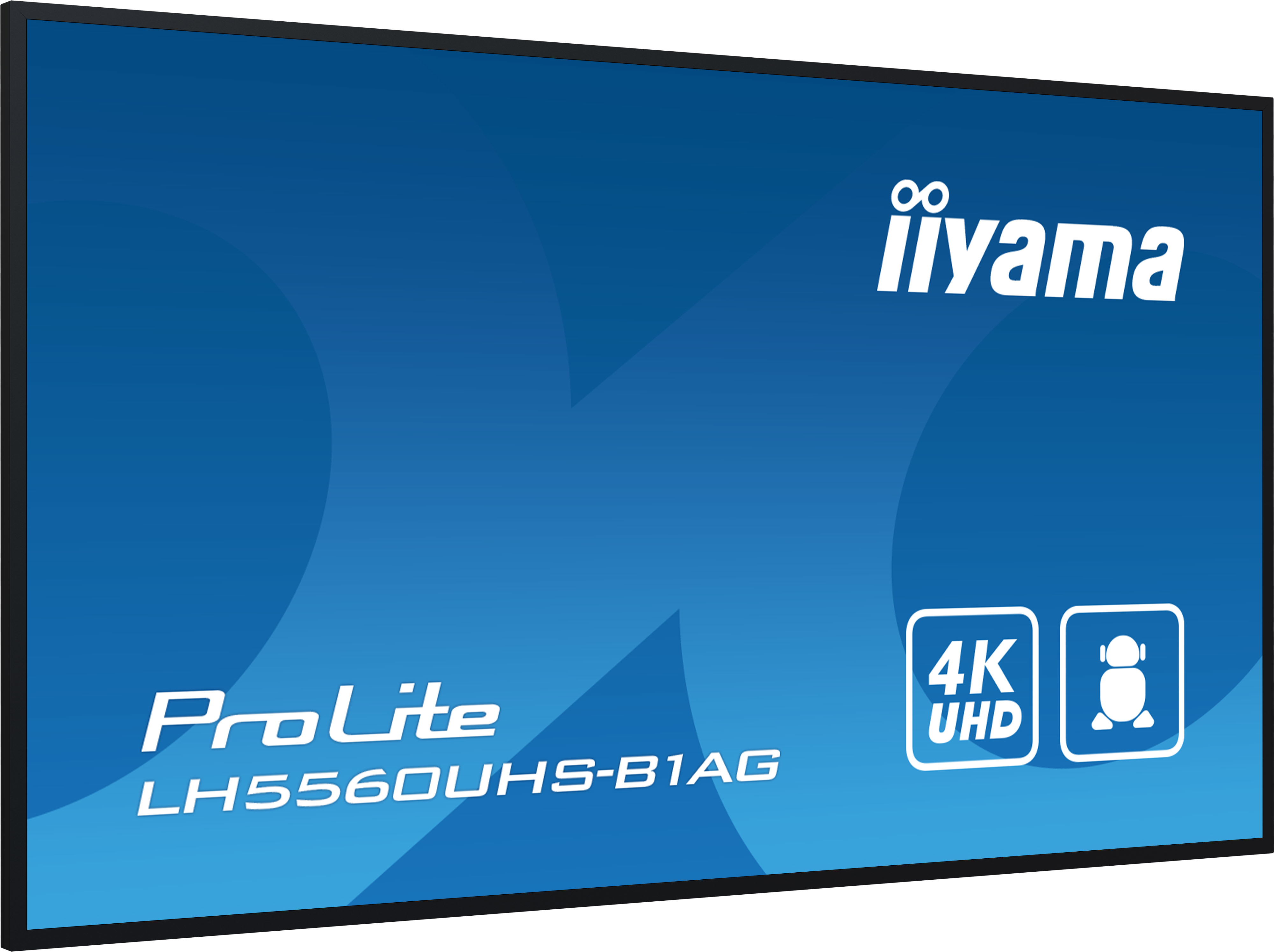 IIYAMA LFD ProLite LH5560UHS-B1AG