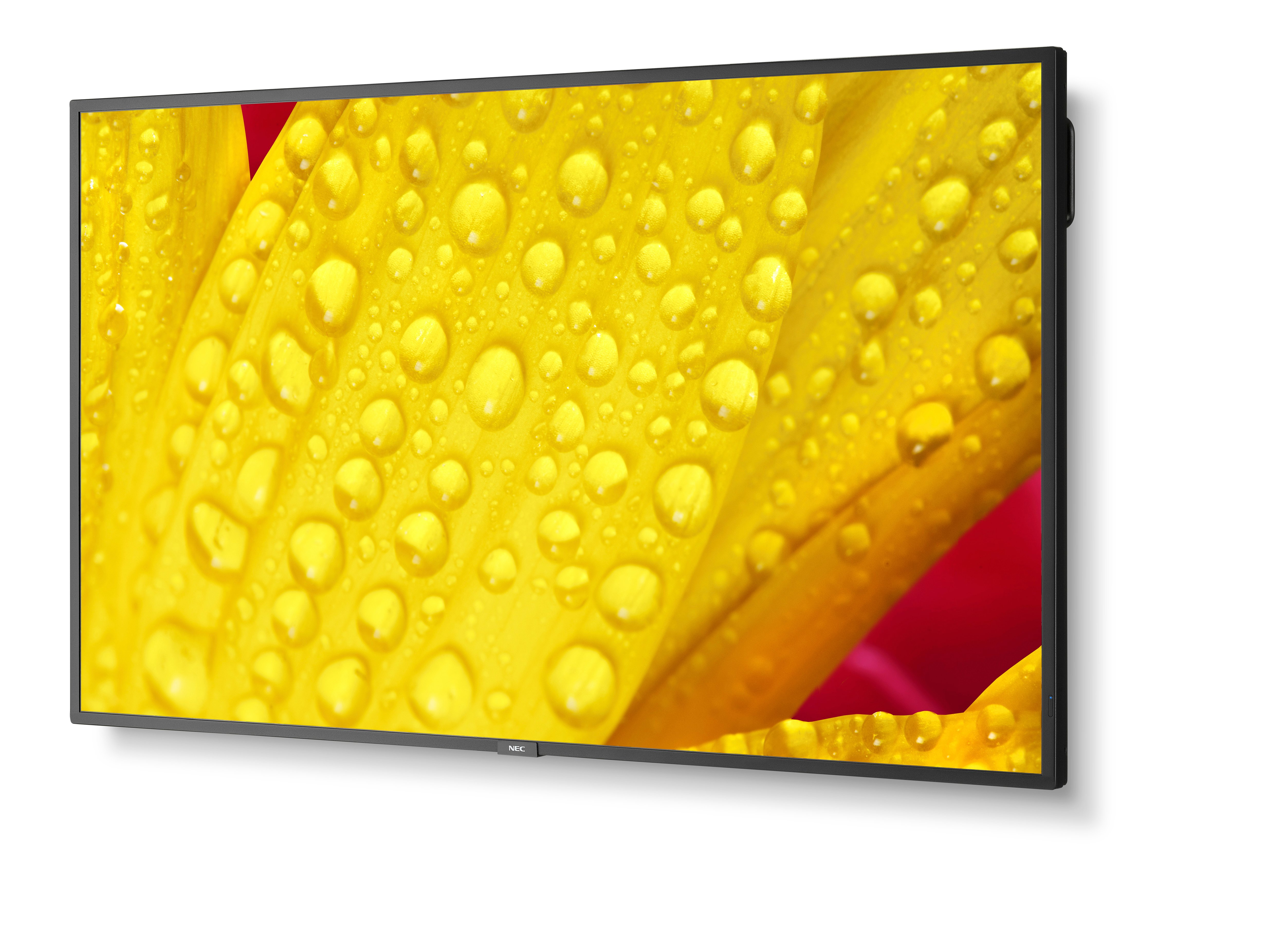 NEC Large Format Display M551-2