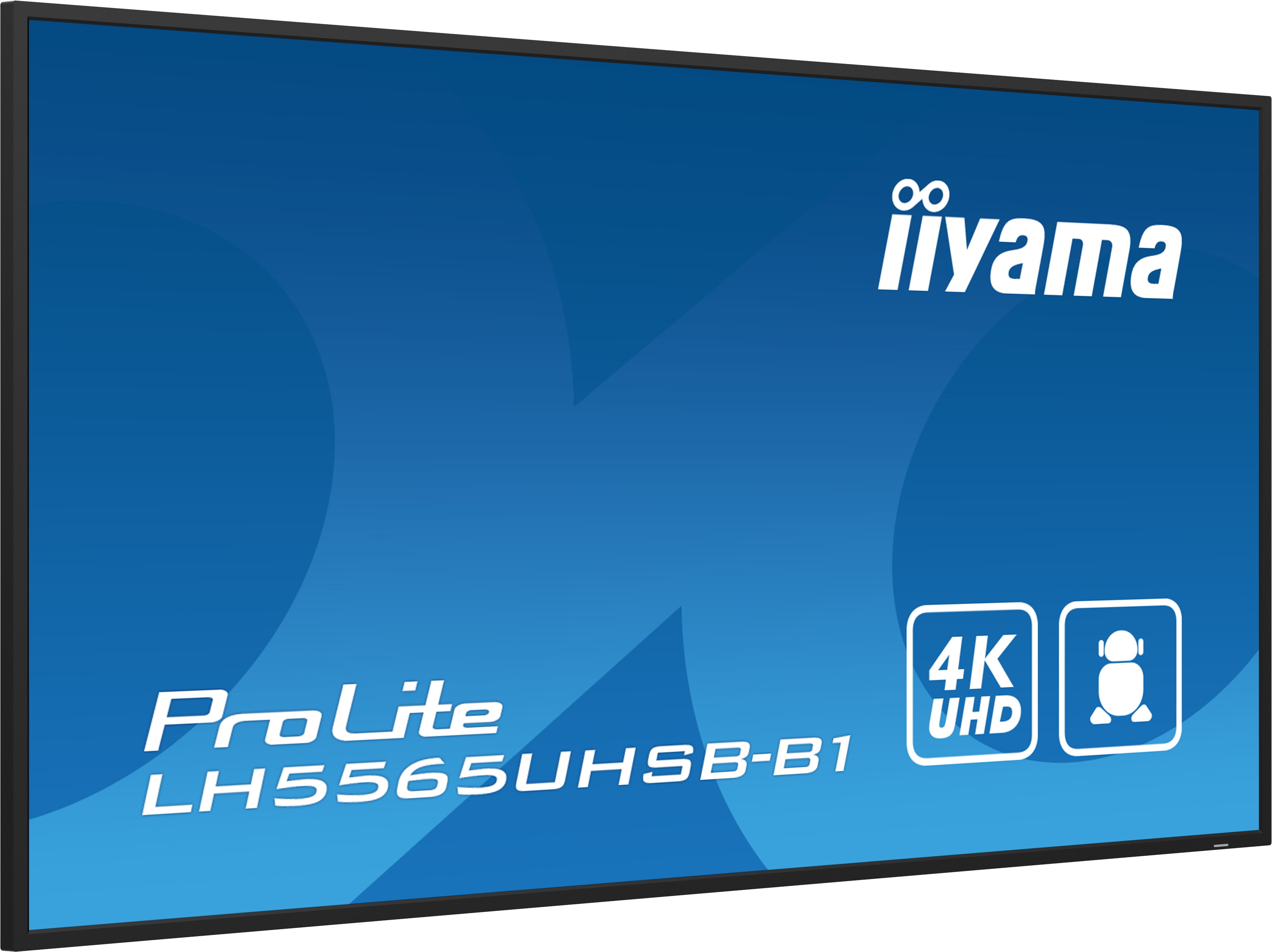 IIYAMA LFD ProLite LH5565UHSB-B1