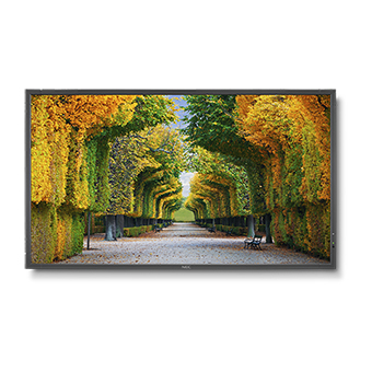 NEC MultiSync X554HB