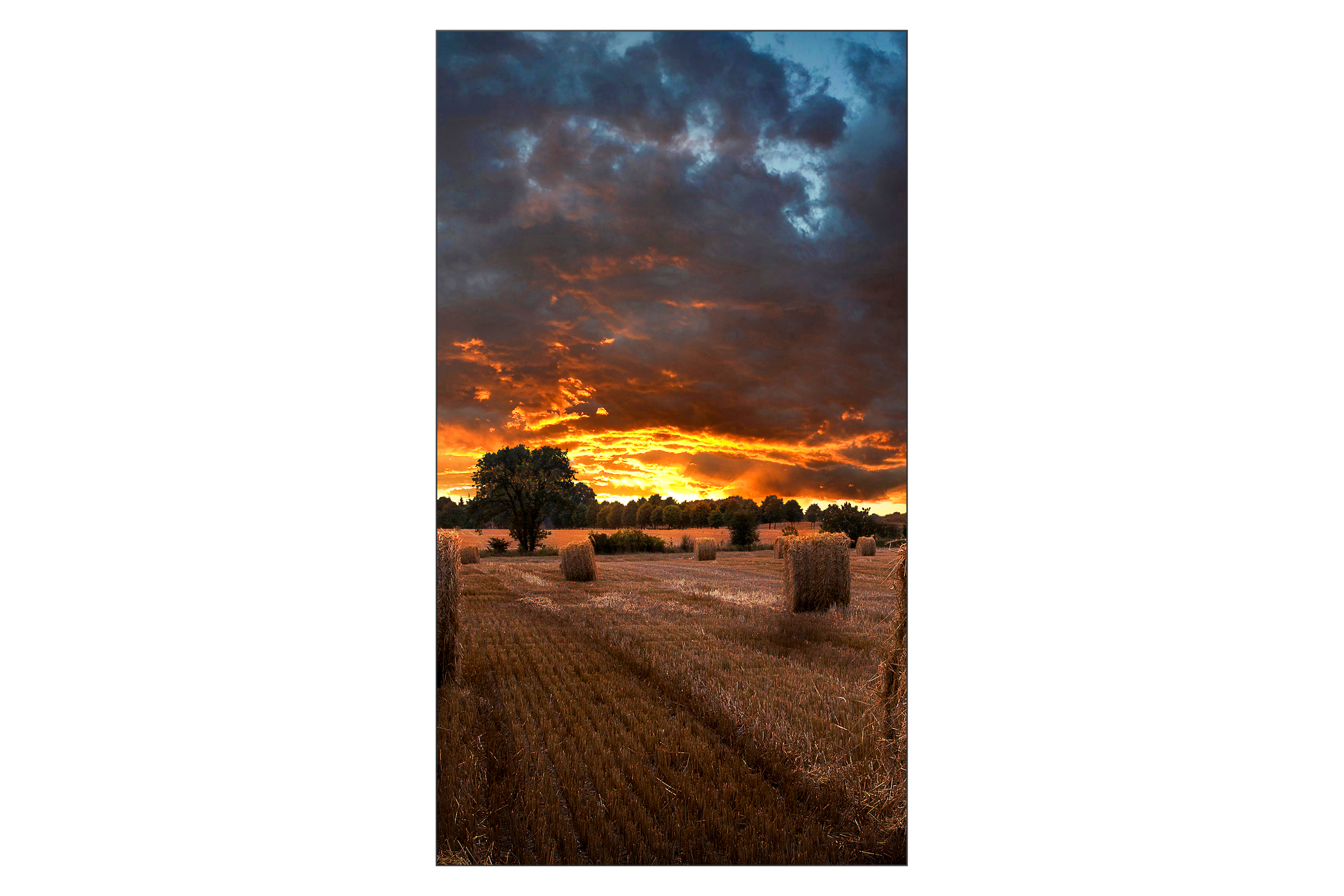Ernte, Natur, Draußen, Stroh, Himmel