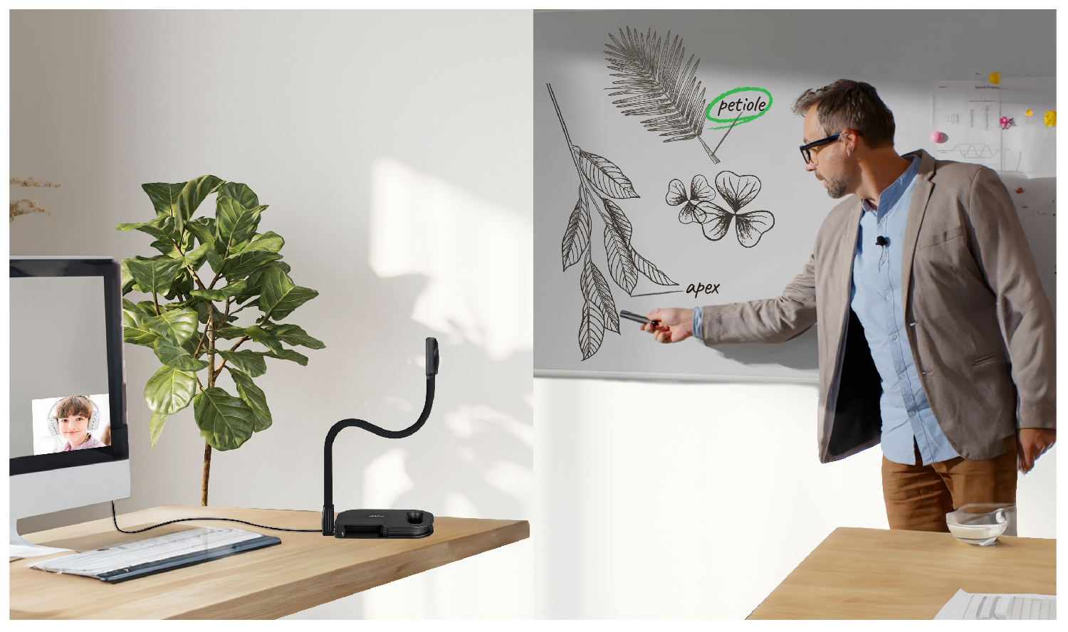 AVer LFD Kamera Document Visualizer U50+