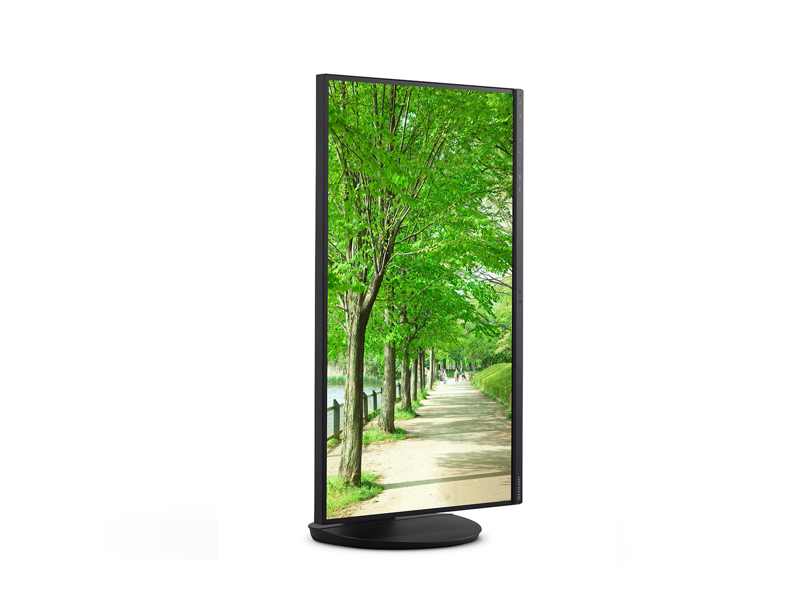 Sharp MultiSync EA272Q black