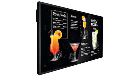 Philips P-Line 50BDL31