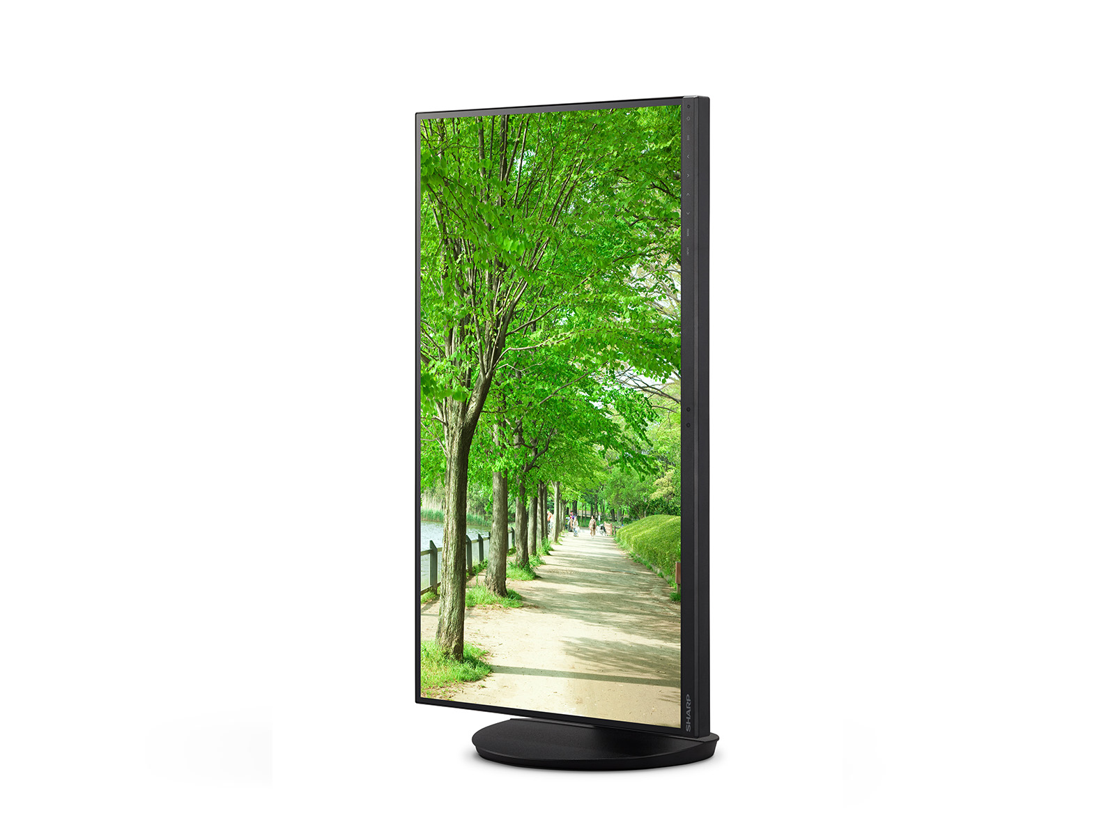 Sharp MultiSync EA272U black