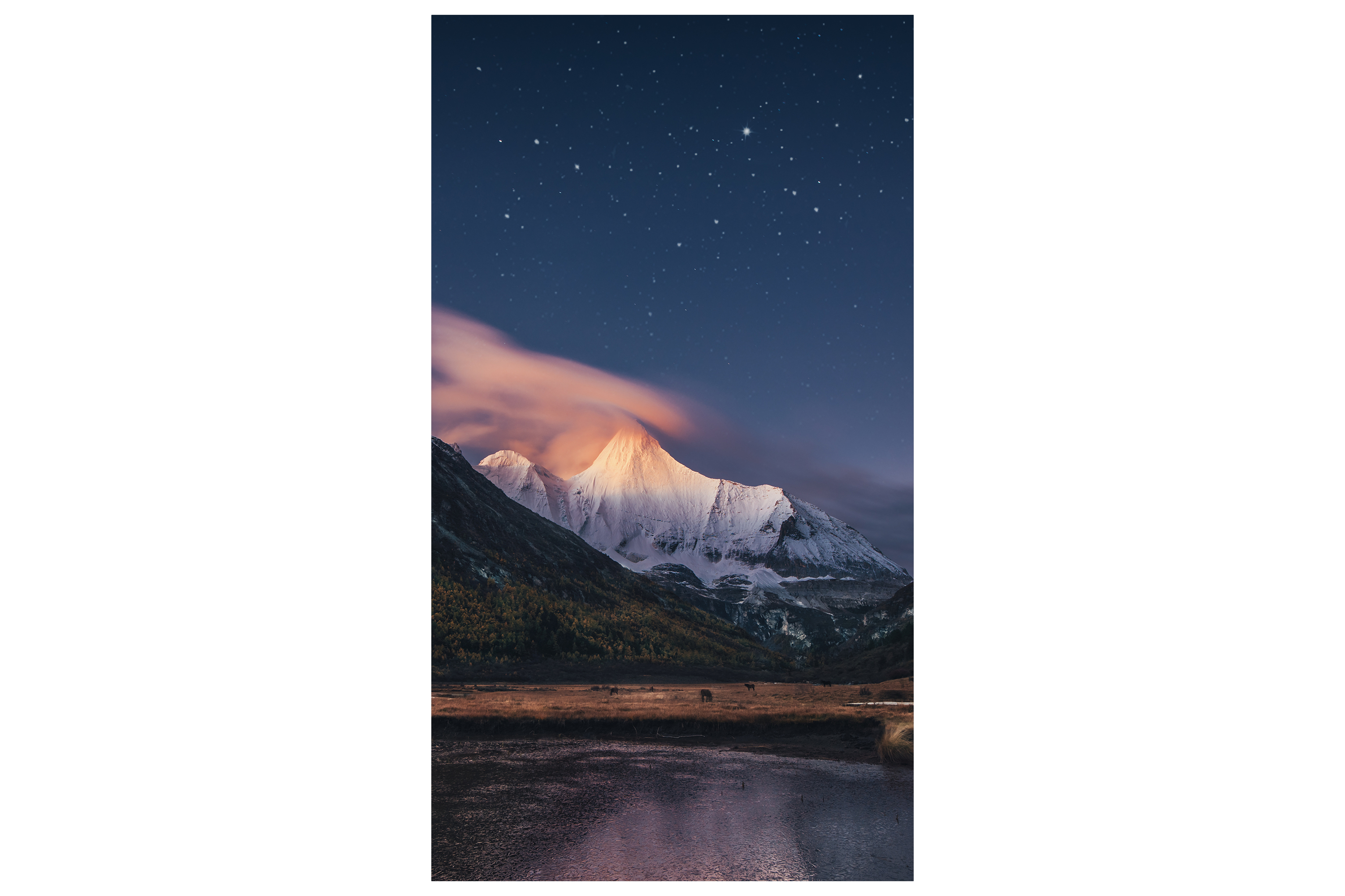 Samsung Smart Signage VM55C-R