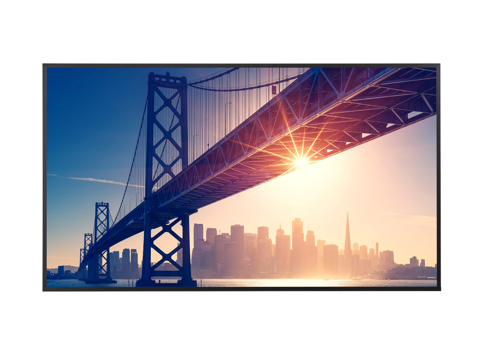 Sharp Large Format Display ME652