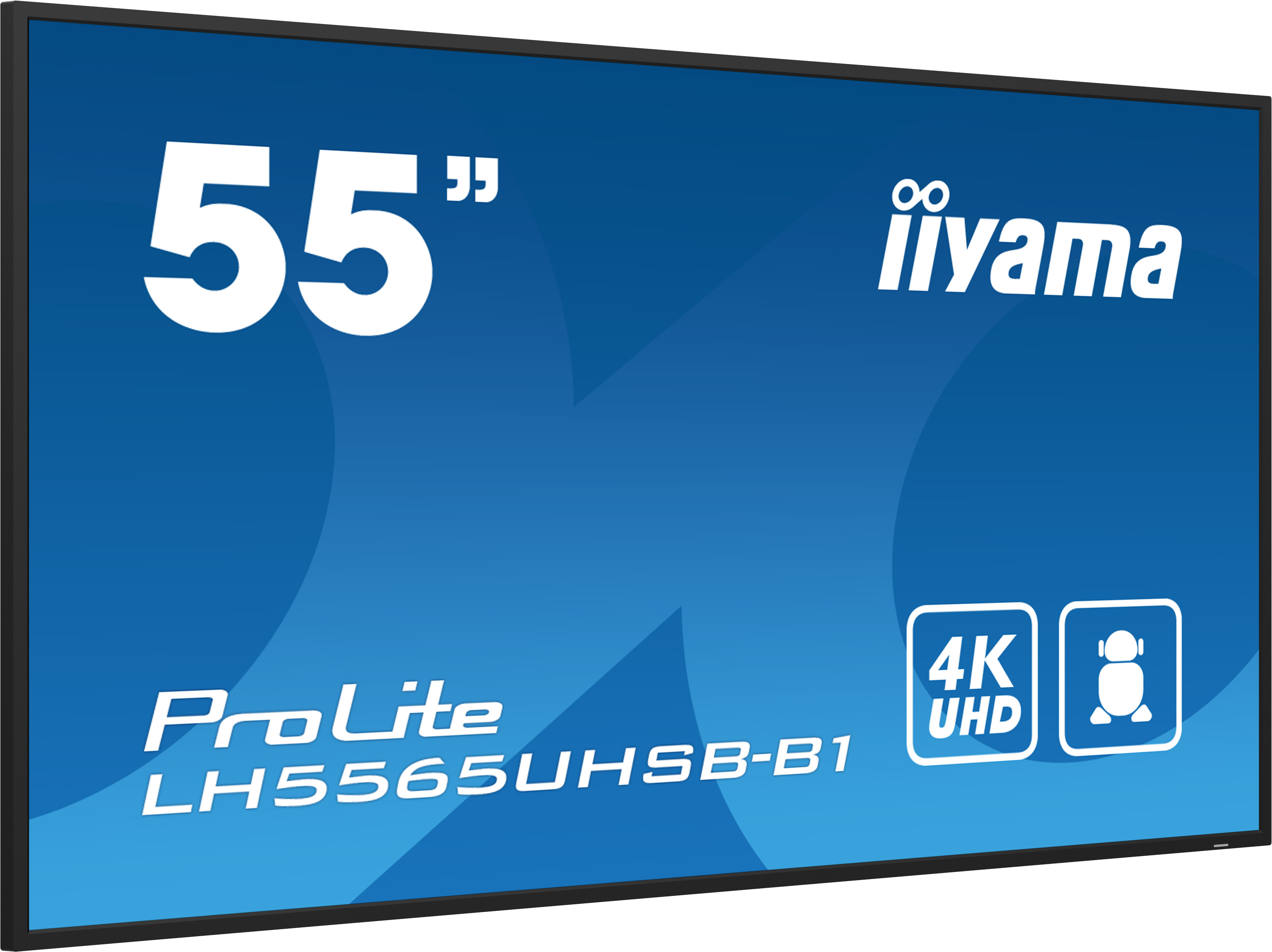 IIYAMA LFD ProLite LH5565UHSB-B1