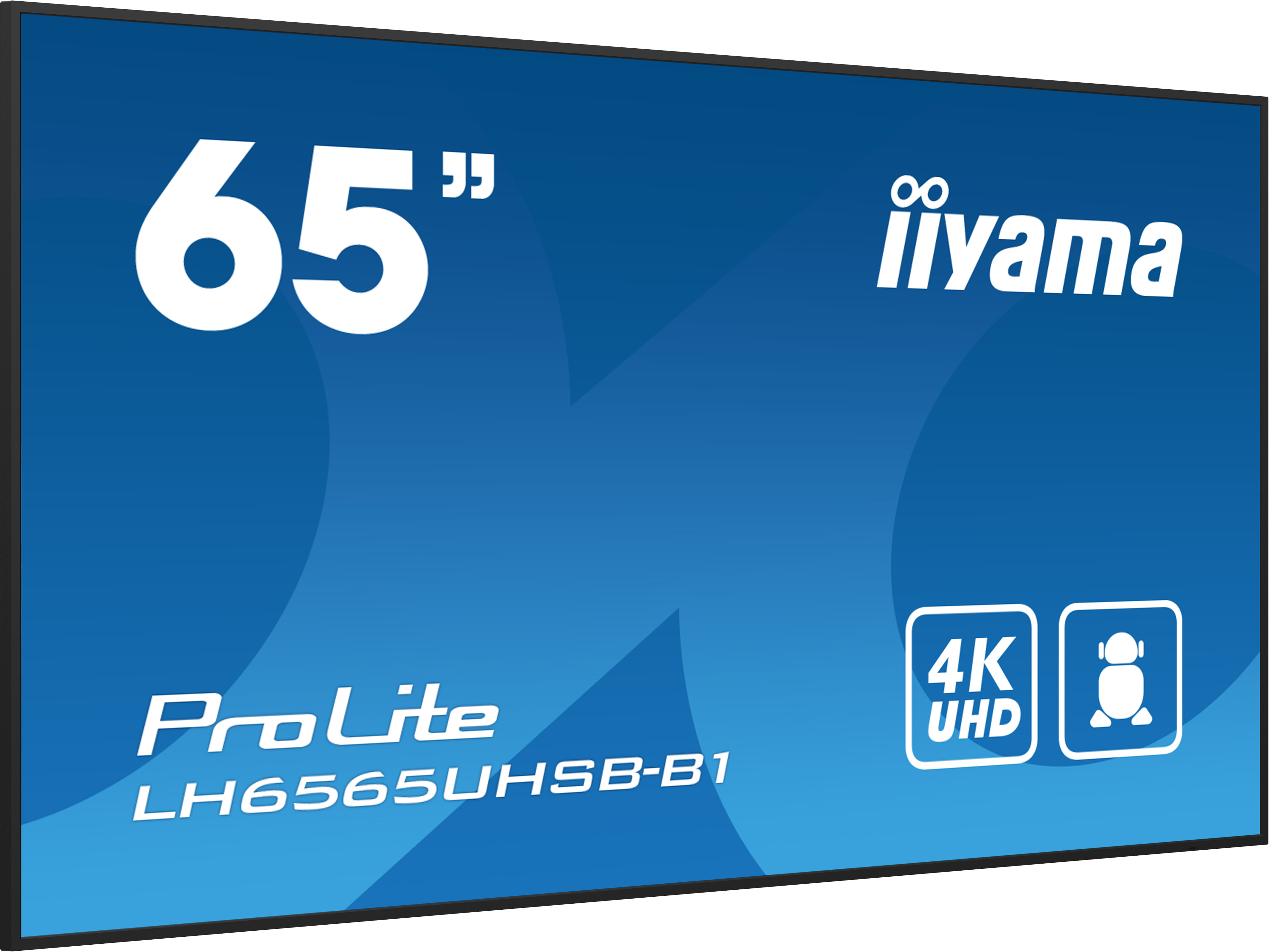 IIYAMA LFD ProLite LH6575UHS-B1AG