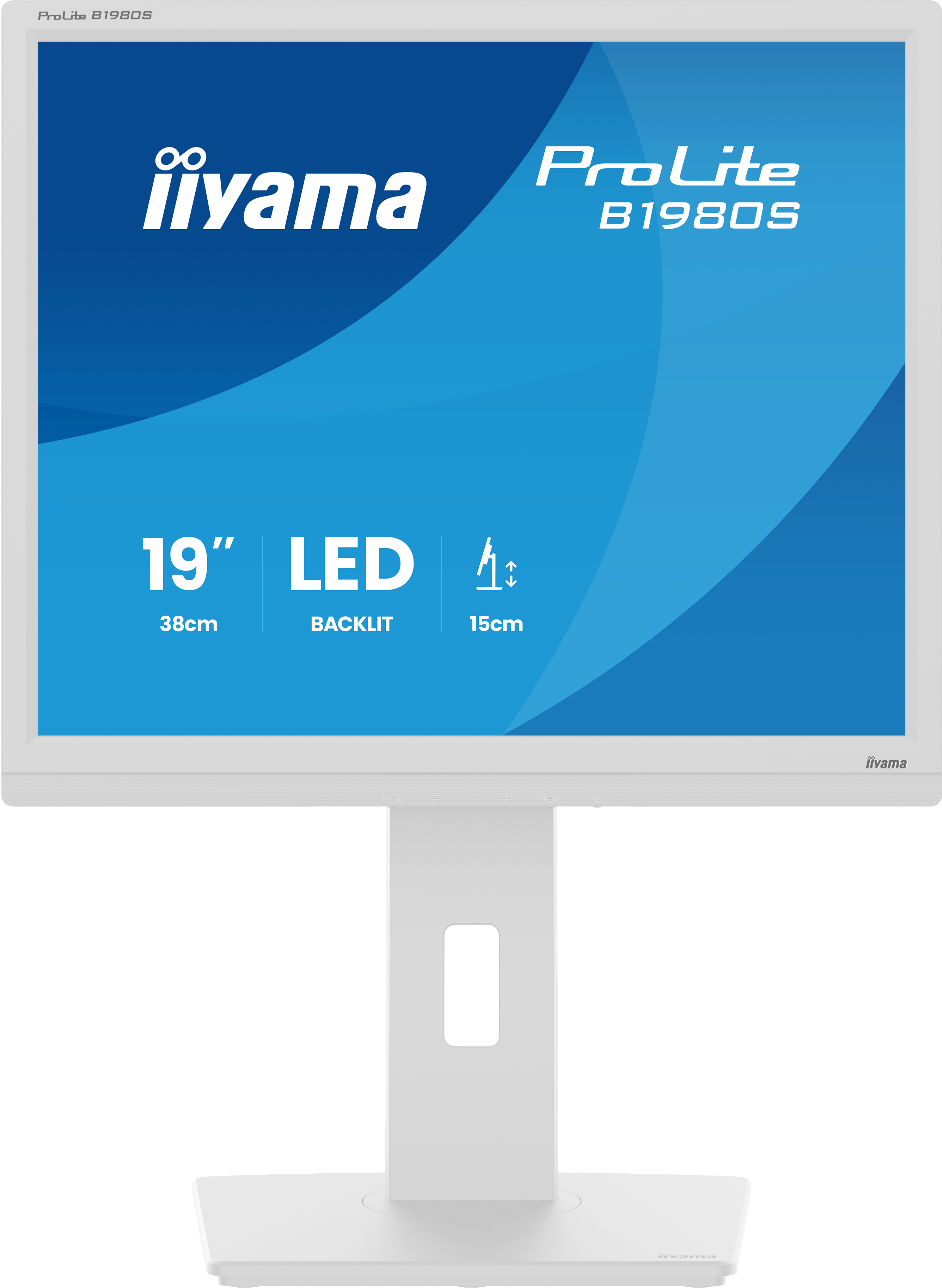 IIYAMA Monitor B1980S-W1