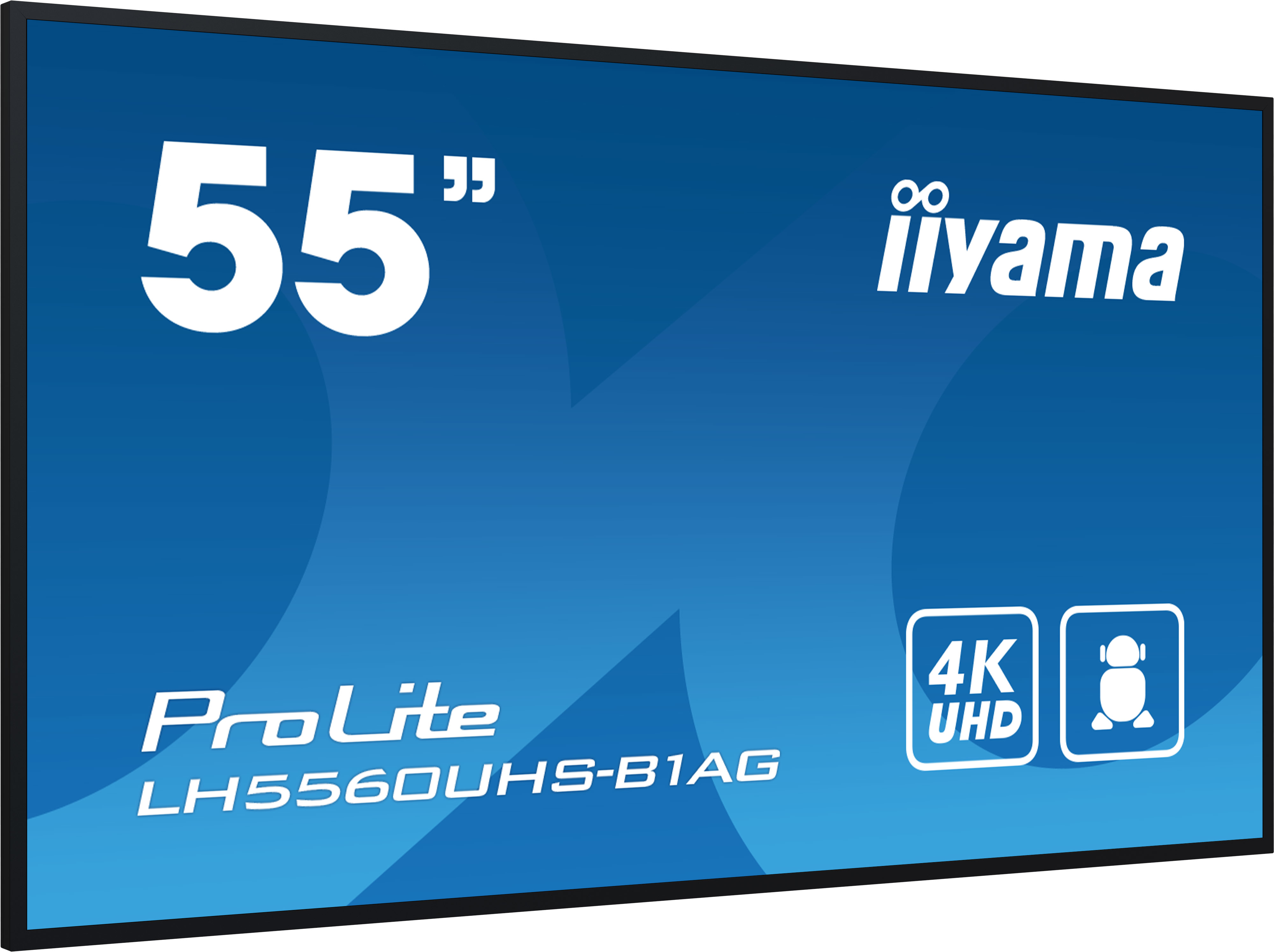 IIYAMA LFD ProLite LH5560UHS-B1AG
