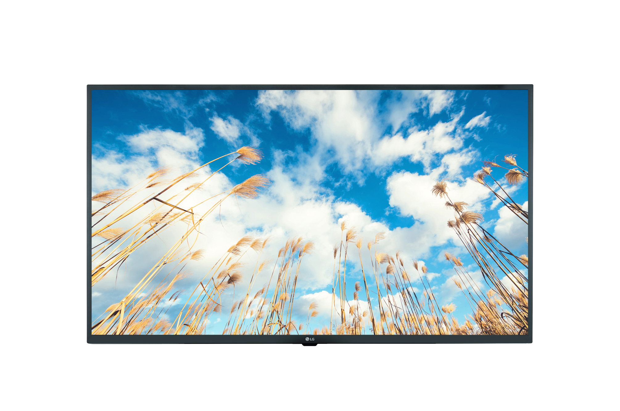 LG Hotel TV 43UM767H
