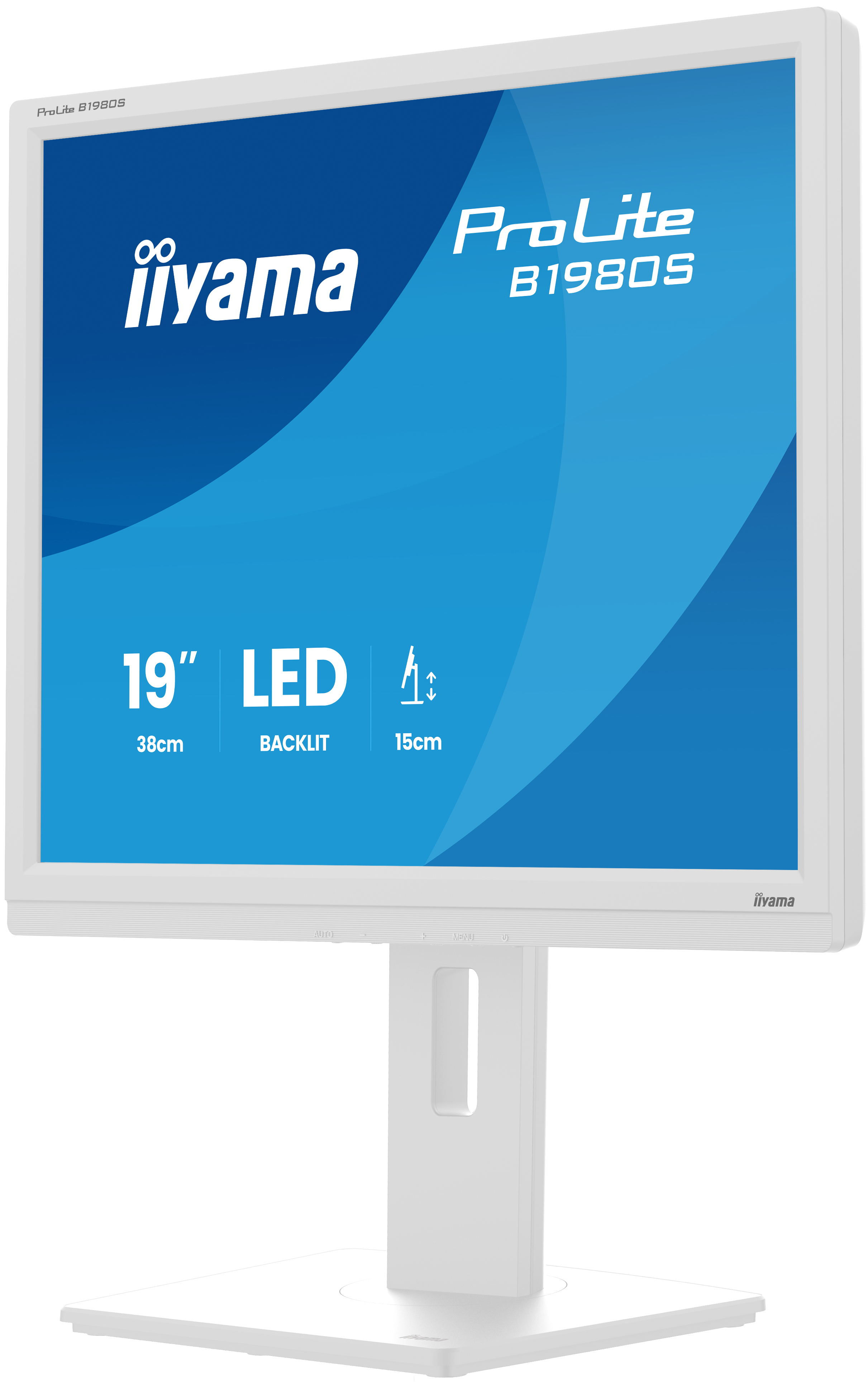 IIYAMA Monitor B1980S-W1