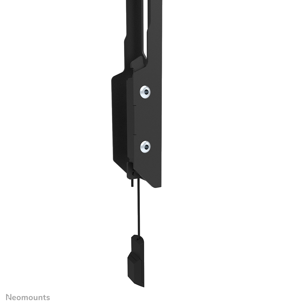 Neomounts TV-Wandhalterung - 61 cm (24 Zoll) - 139,7 cm (55 Zoll) - 45 kg - 50 x 50 mm - 200 x 200 mm - Schwarz