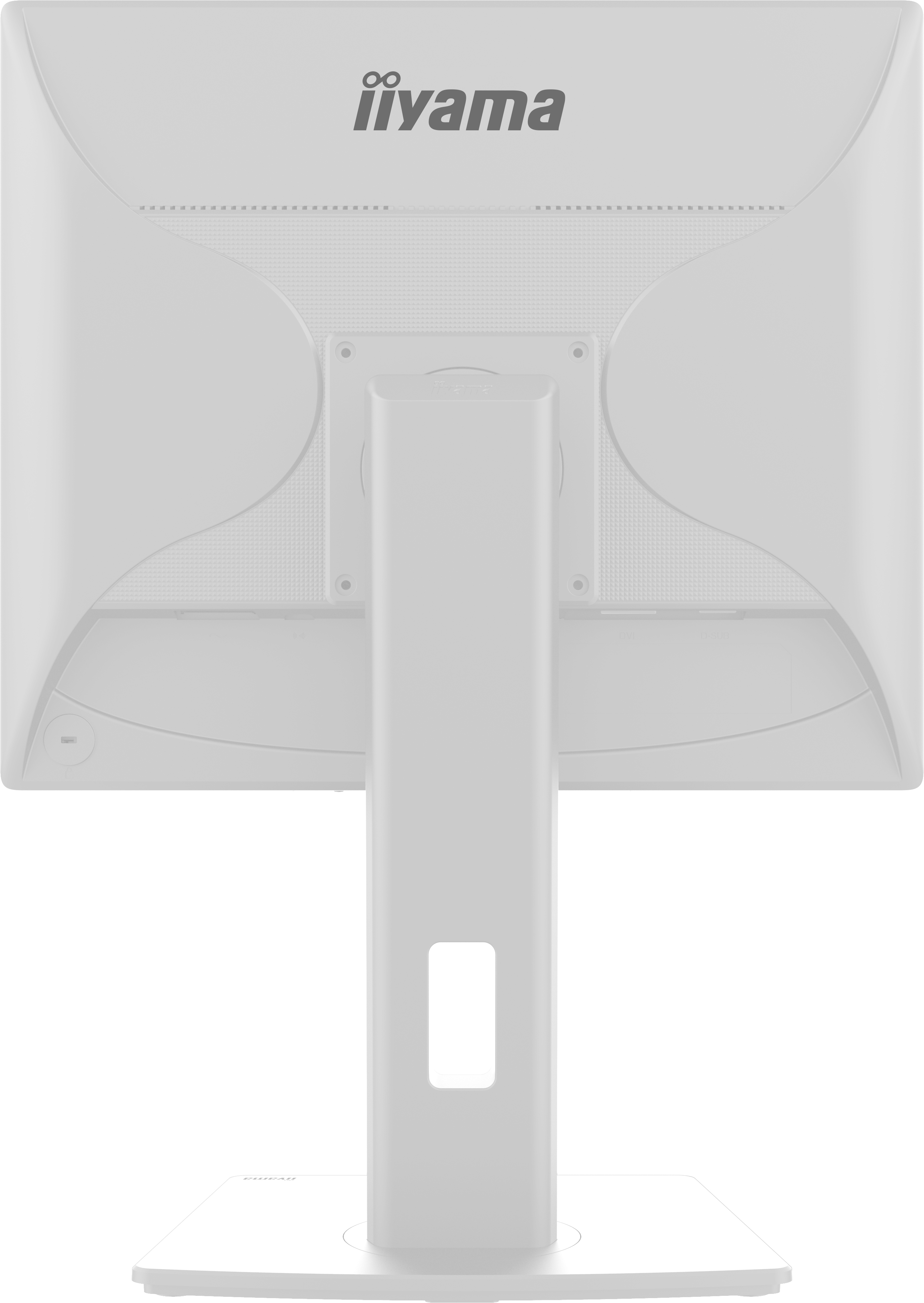 IIYAMA Monitor B1980S-W1