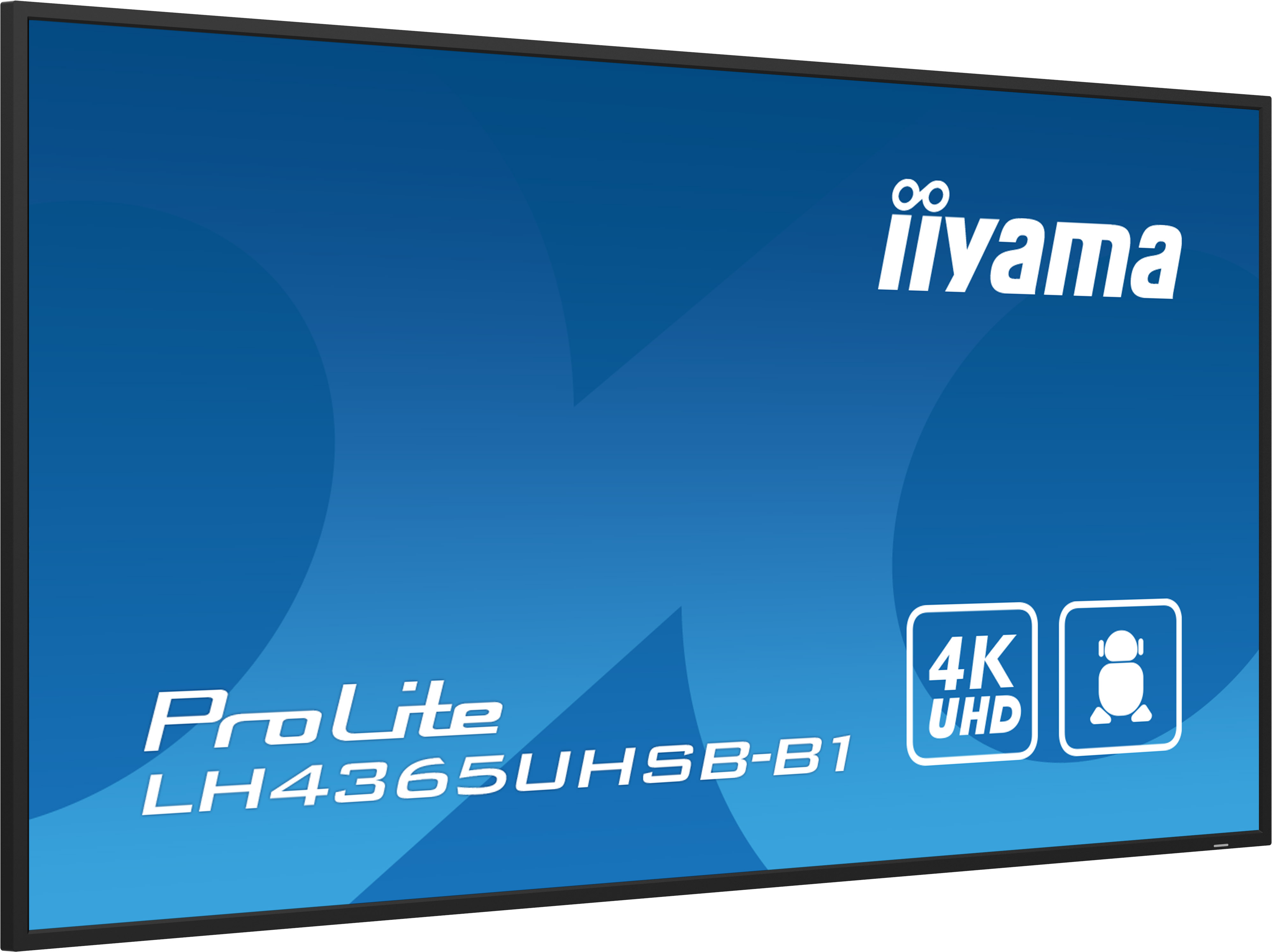 IIYAMA LFD ProLite LH4365UHSB-B1