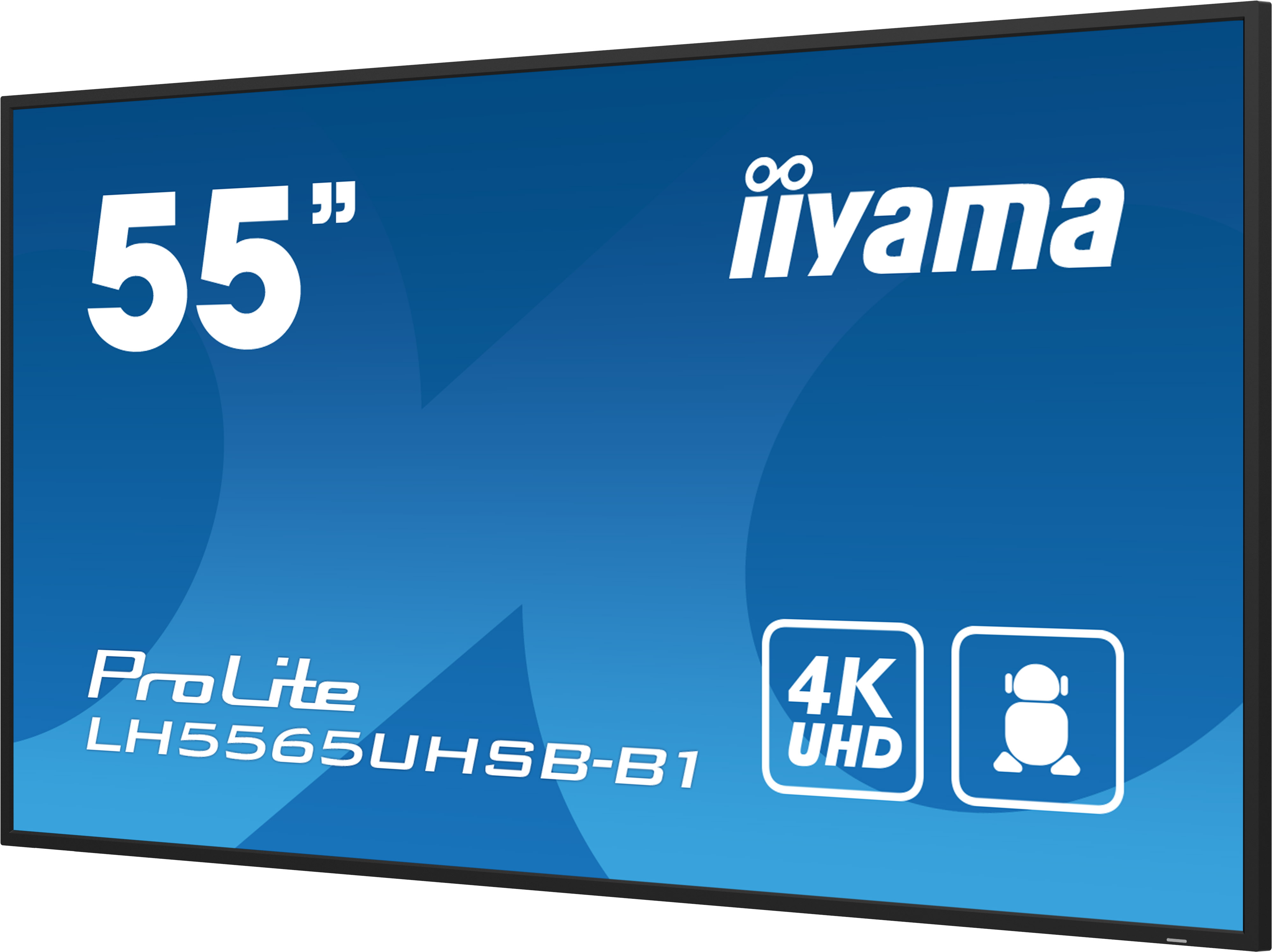 IIYAMA LFD ProLite LH5565UHSB-B1