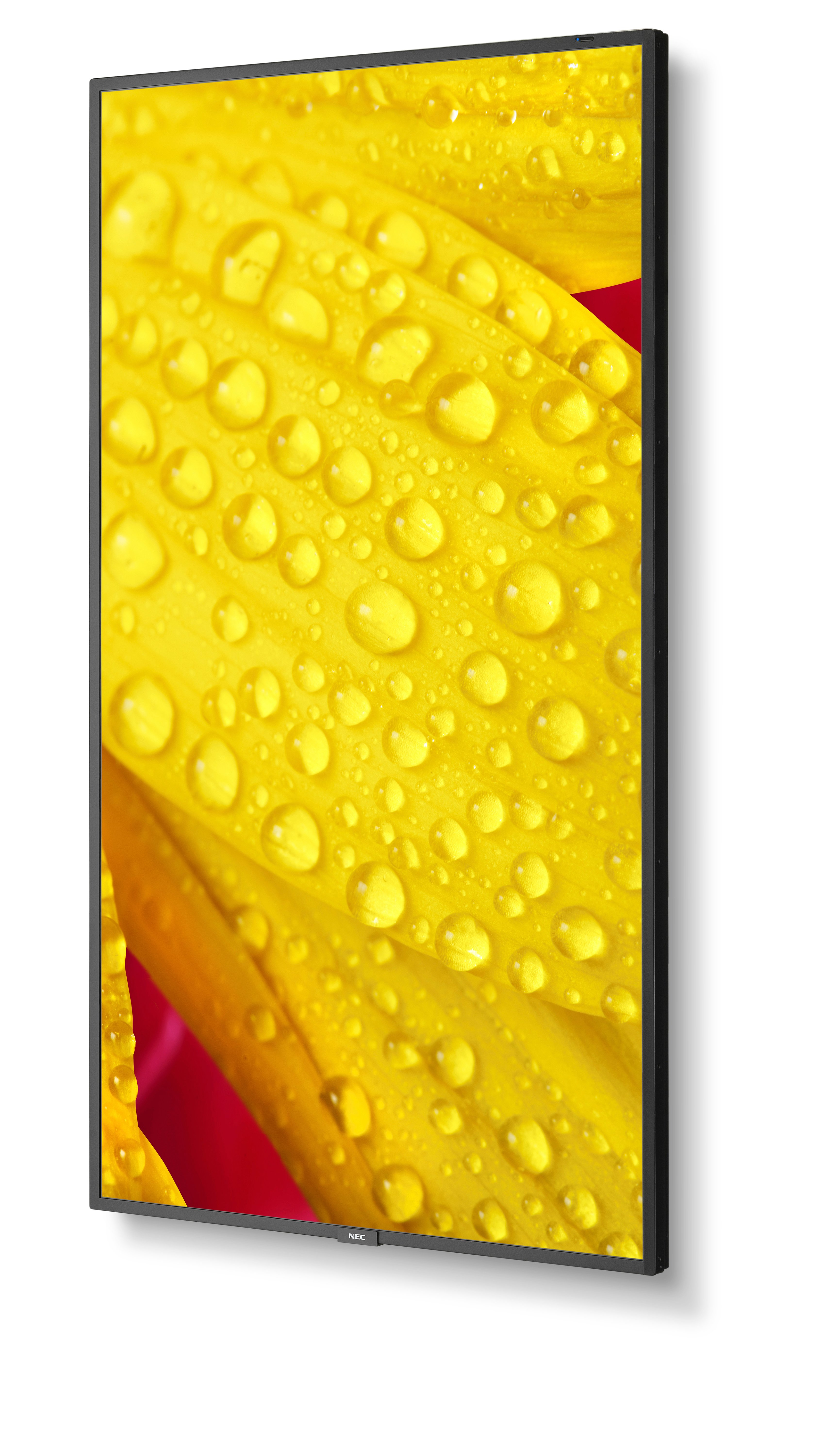 NEC Large Format Display M551-2