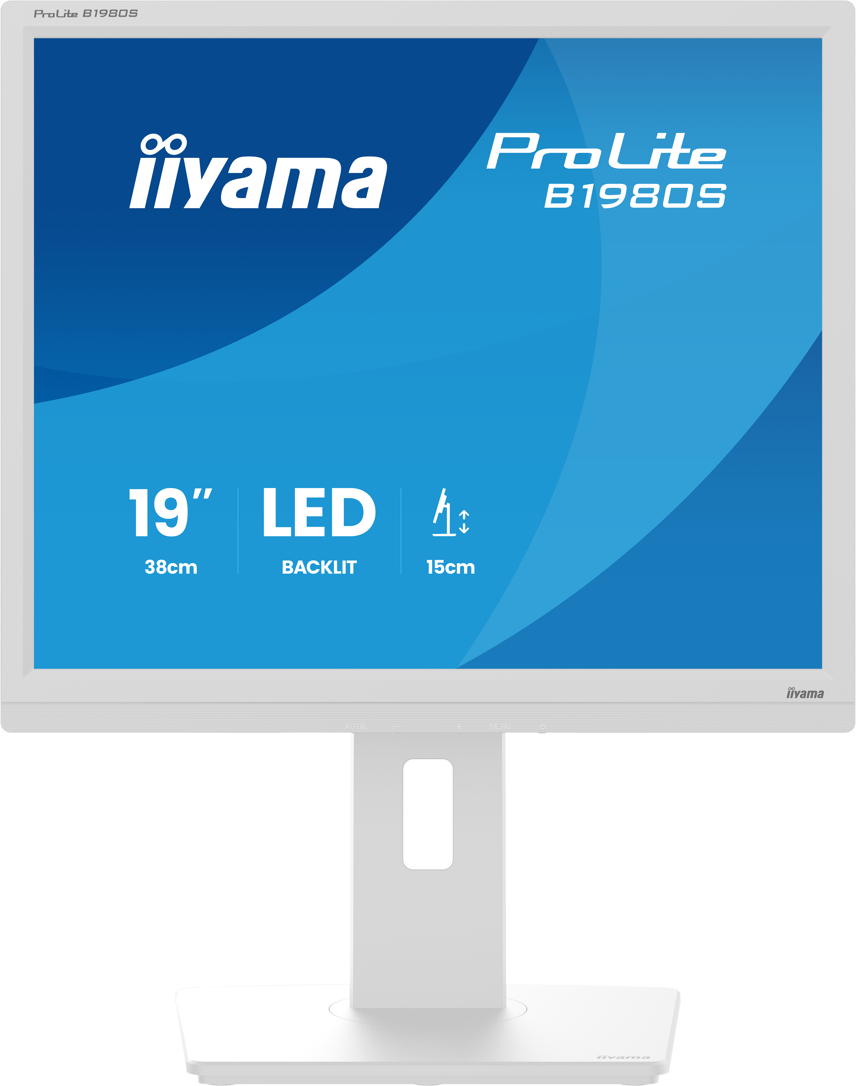 IIYAMA Monitor B1980S-W1