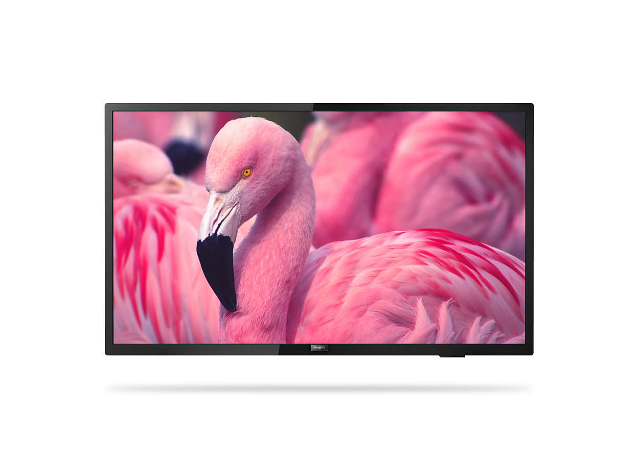 Philips 43HFL4014