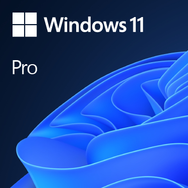MS Windows 11 Pro 64Bit OEM Vollversion englisch (FQC-10528)
