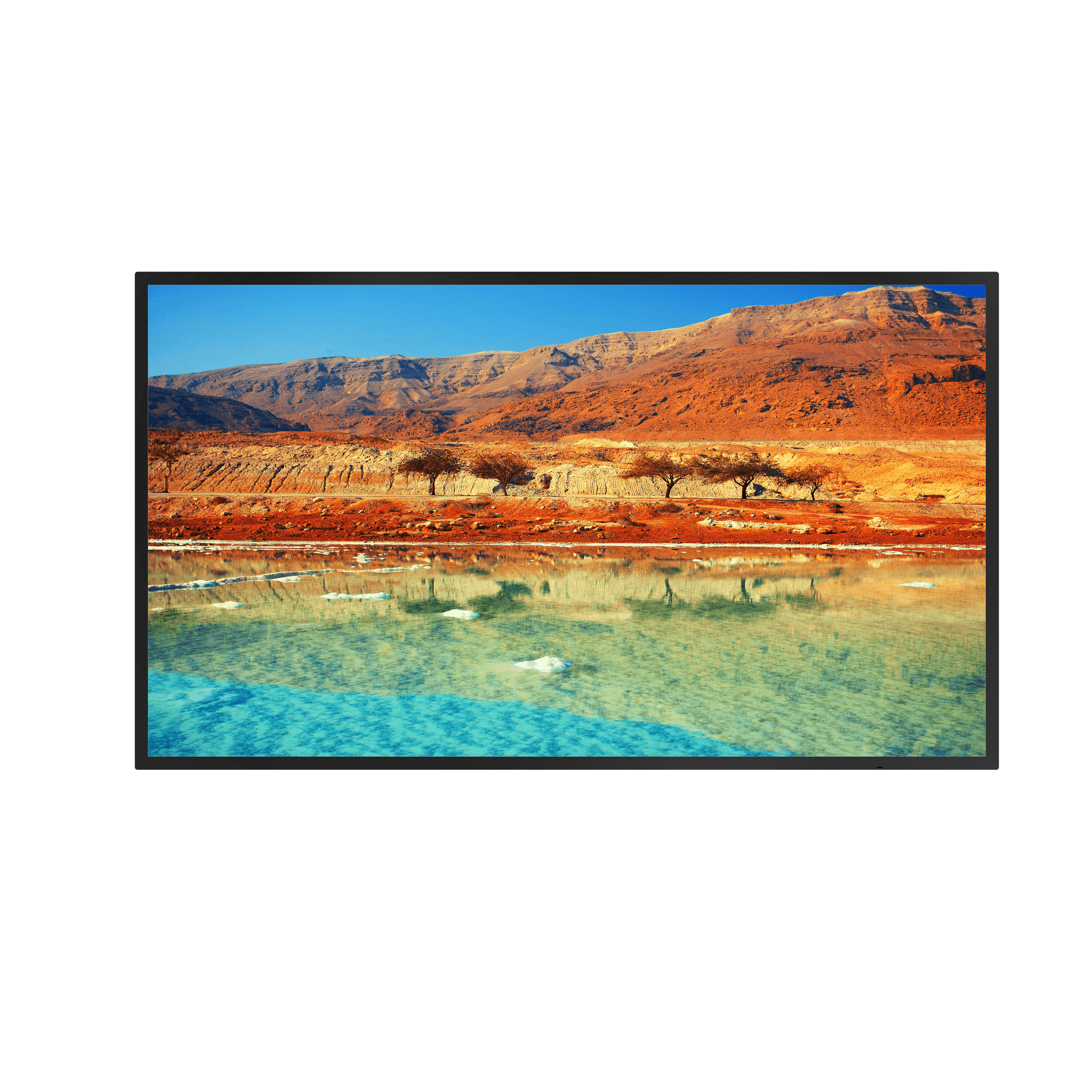 Dahua CCTV Monitor 4K Series DHI-LM65-S400