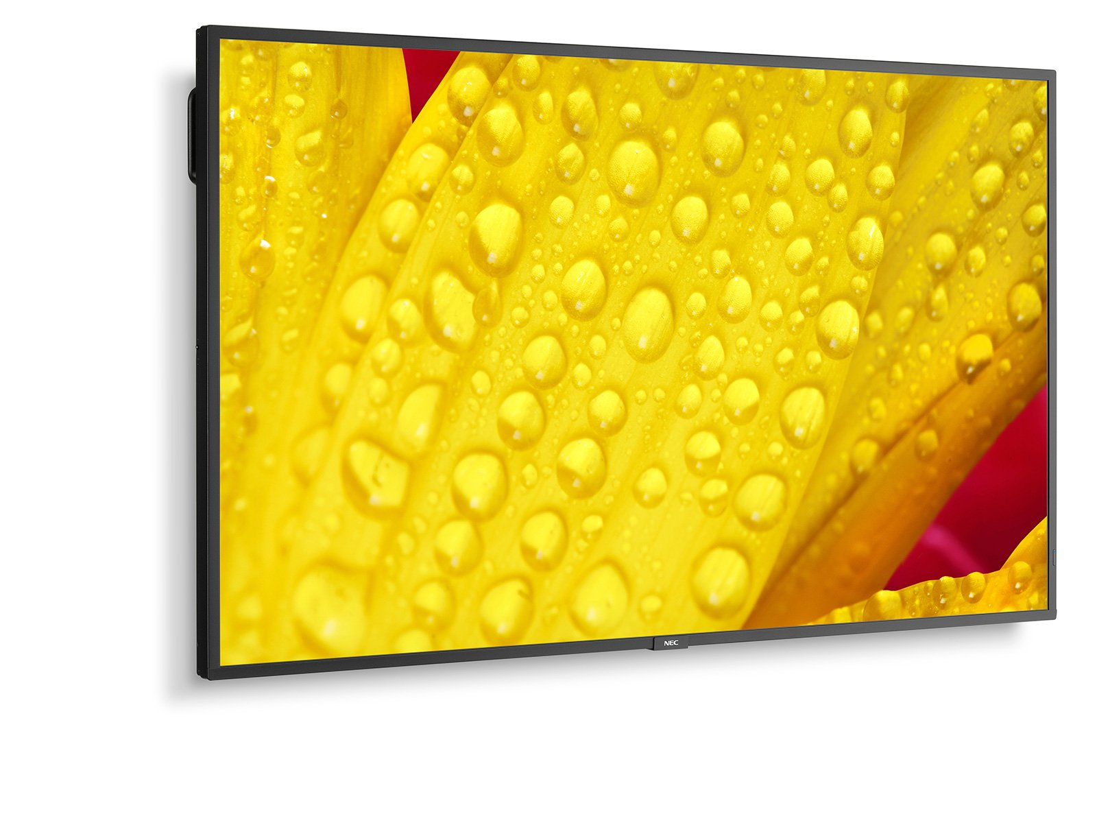 NEC Large Format Display M551-2