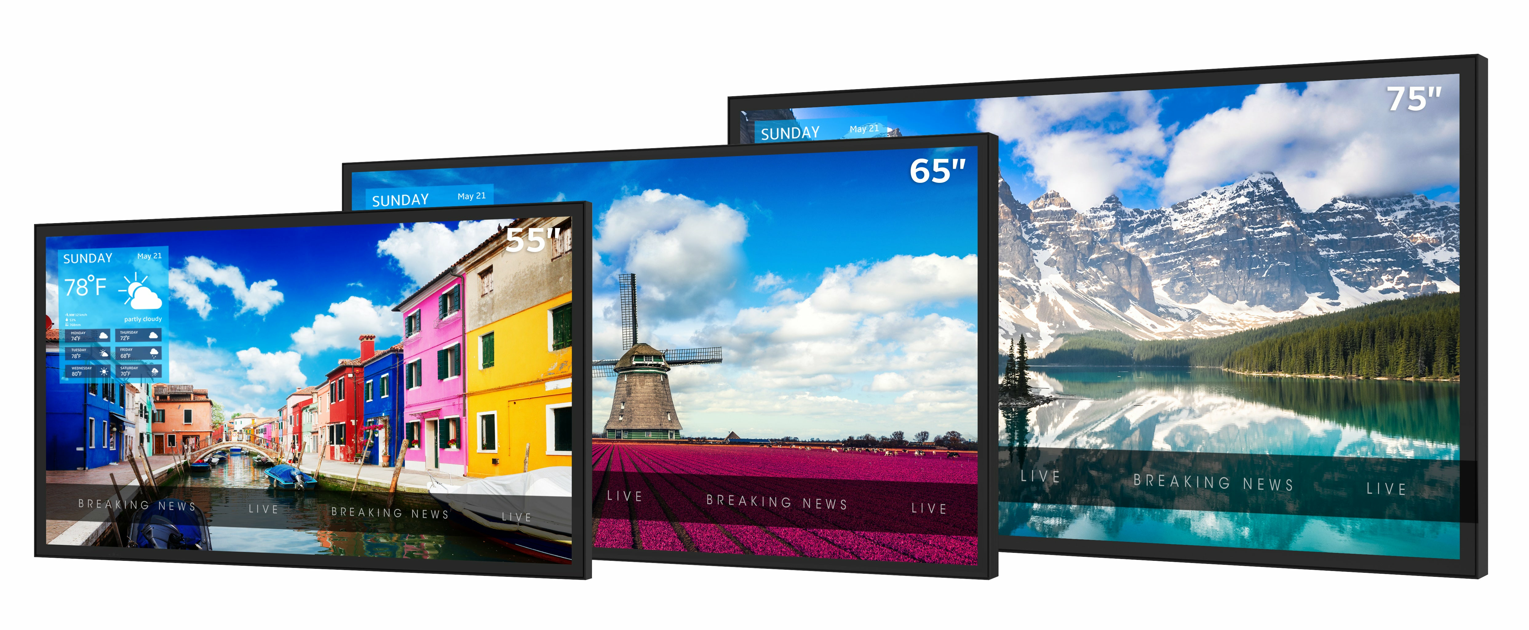 Peerless-AV  XHB554-EUK  55" Outdoor Display