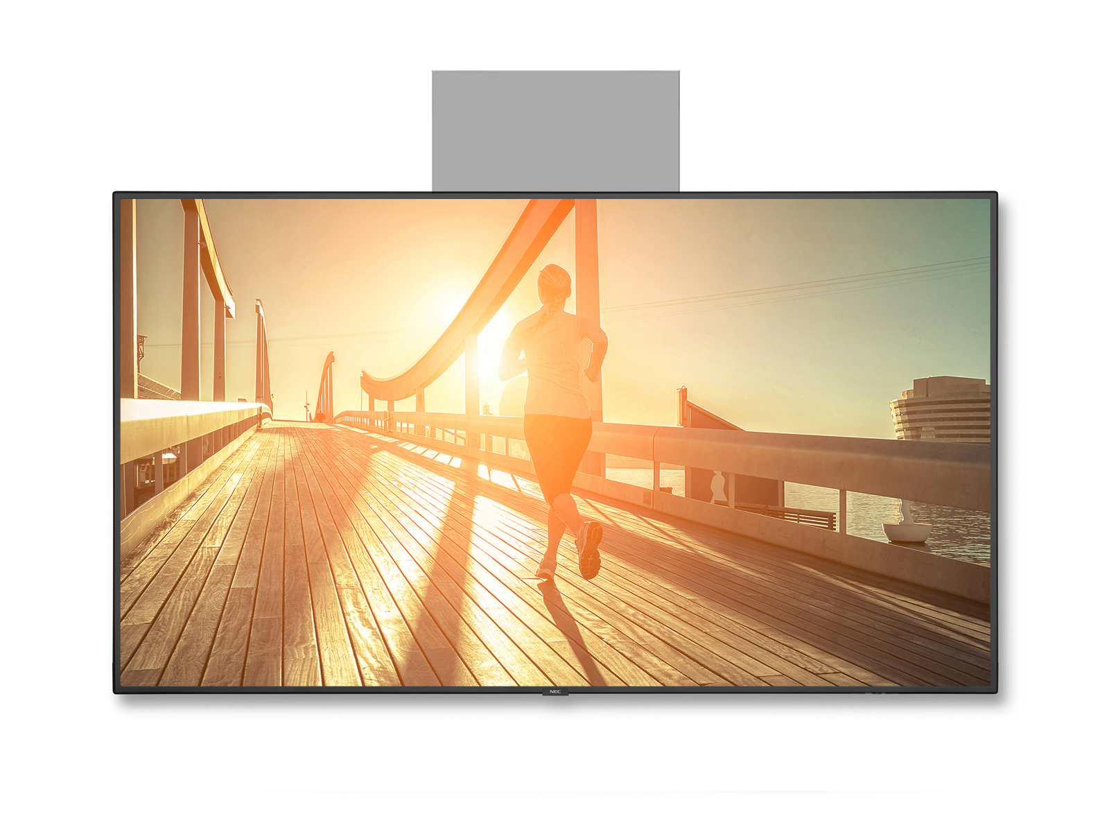 NEC BalanceBox 400-2