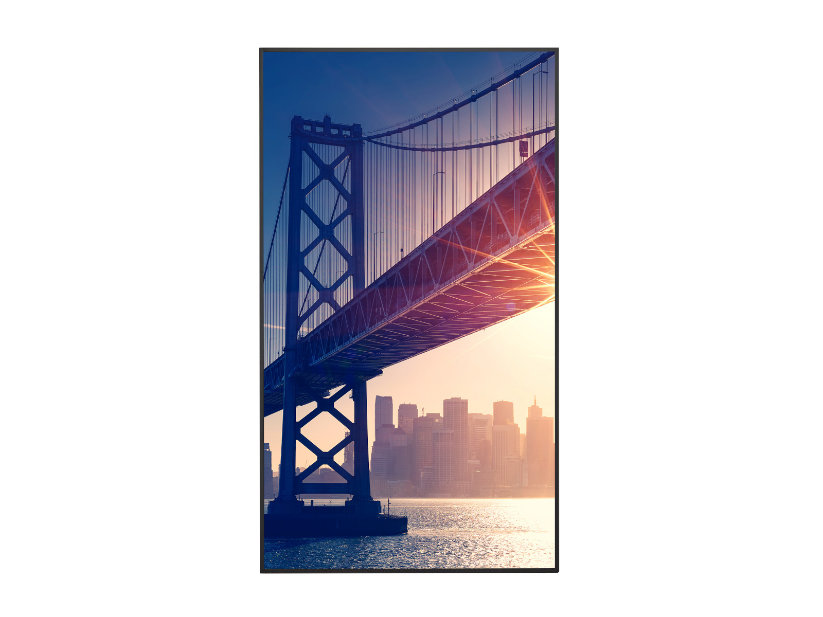 Sharp Large Format Display ME752