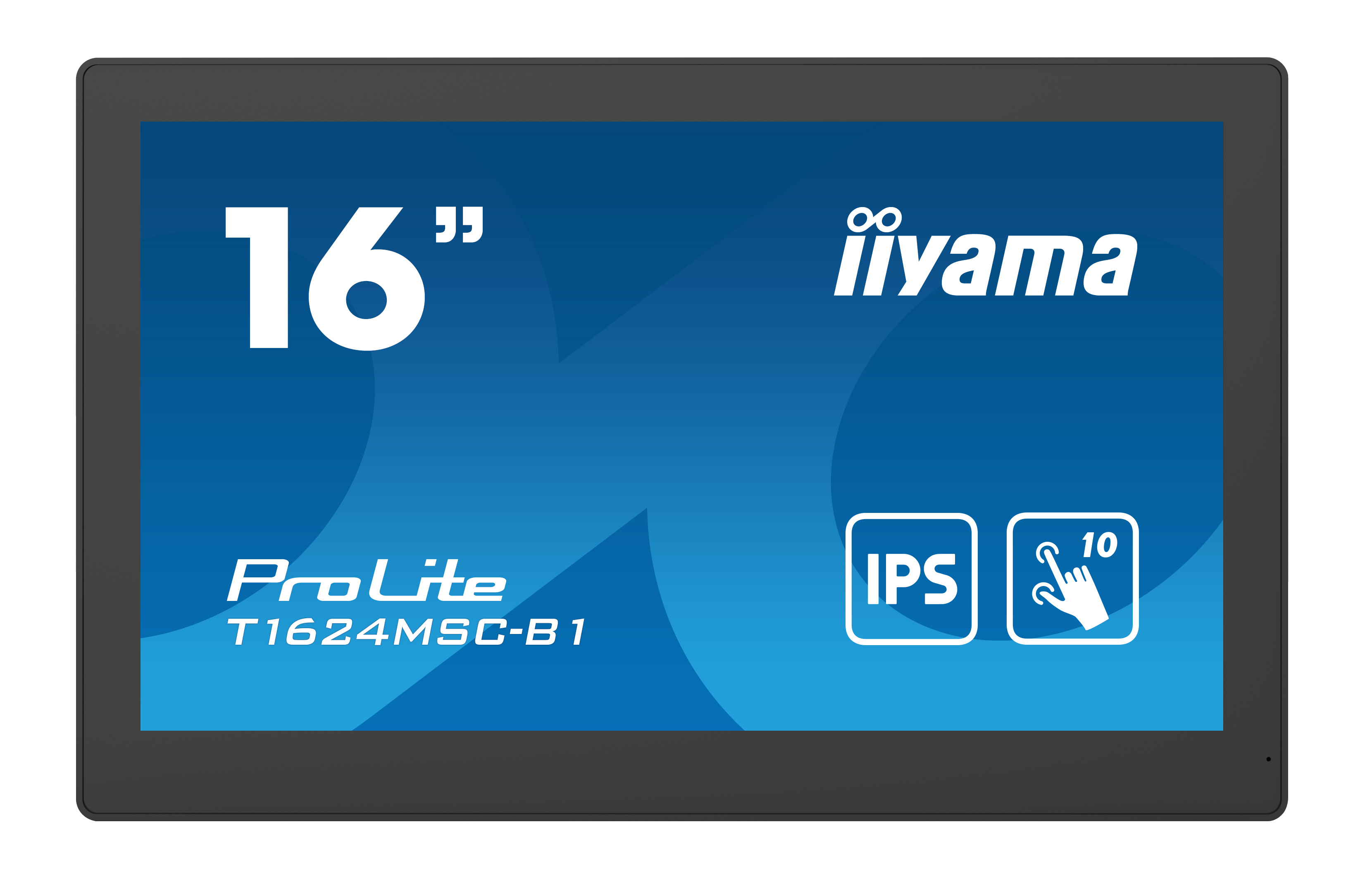 Iiyama ProLite T1624MSC-B1