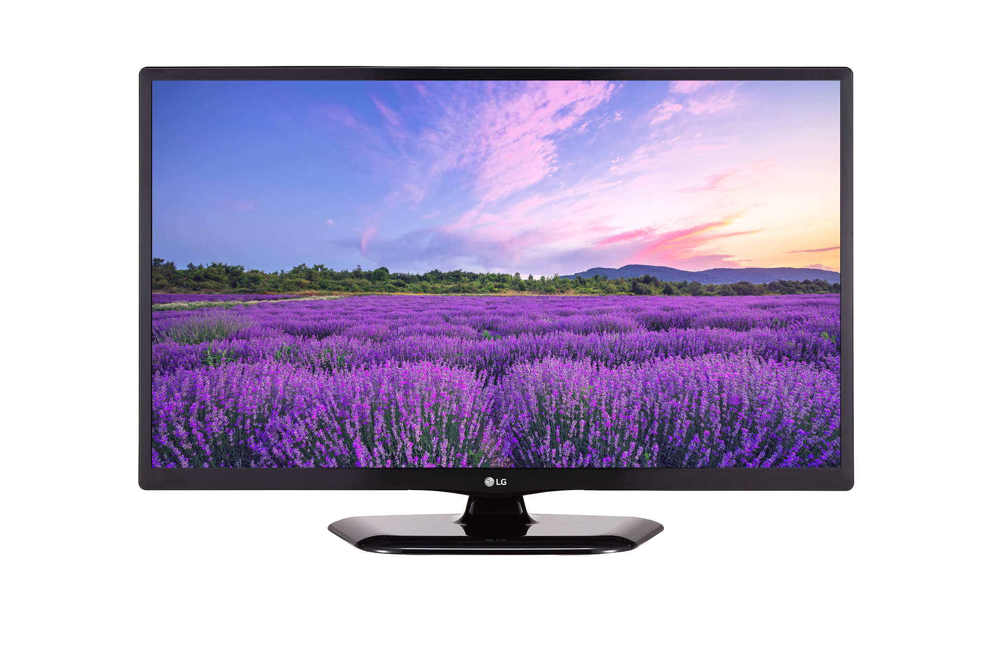 LG Hotel TV 24LN661H