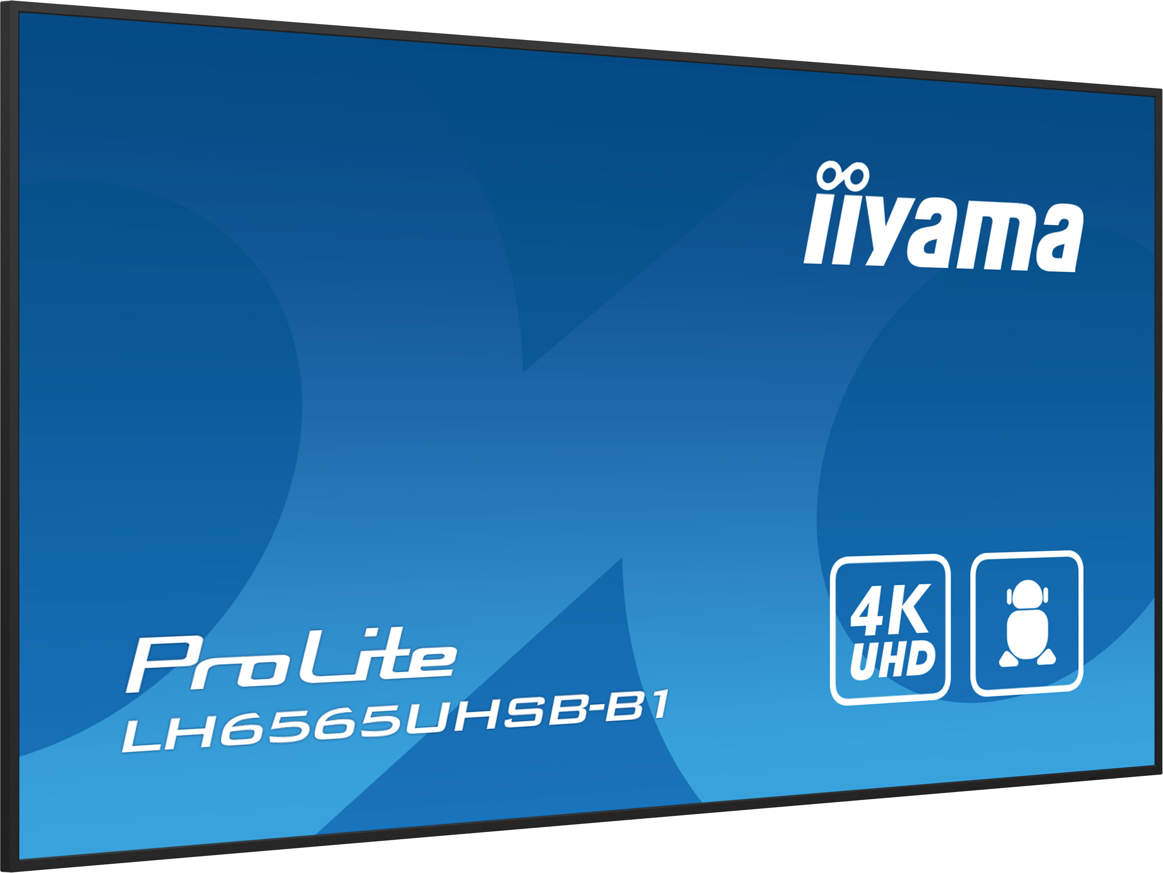 IIYAMA LFD ProLite LH6575UHS-B1AG