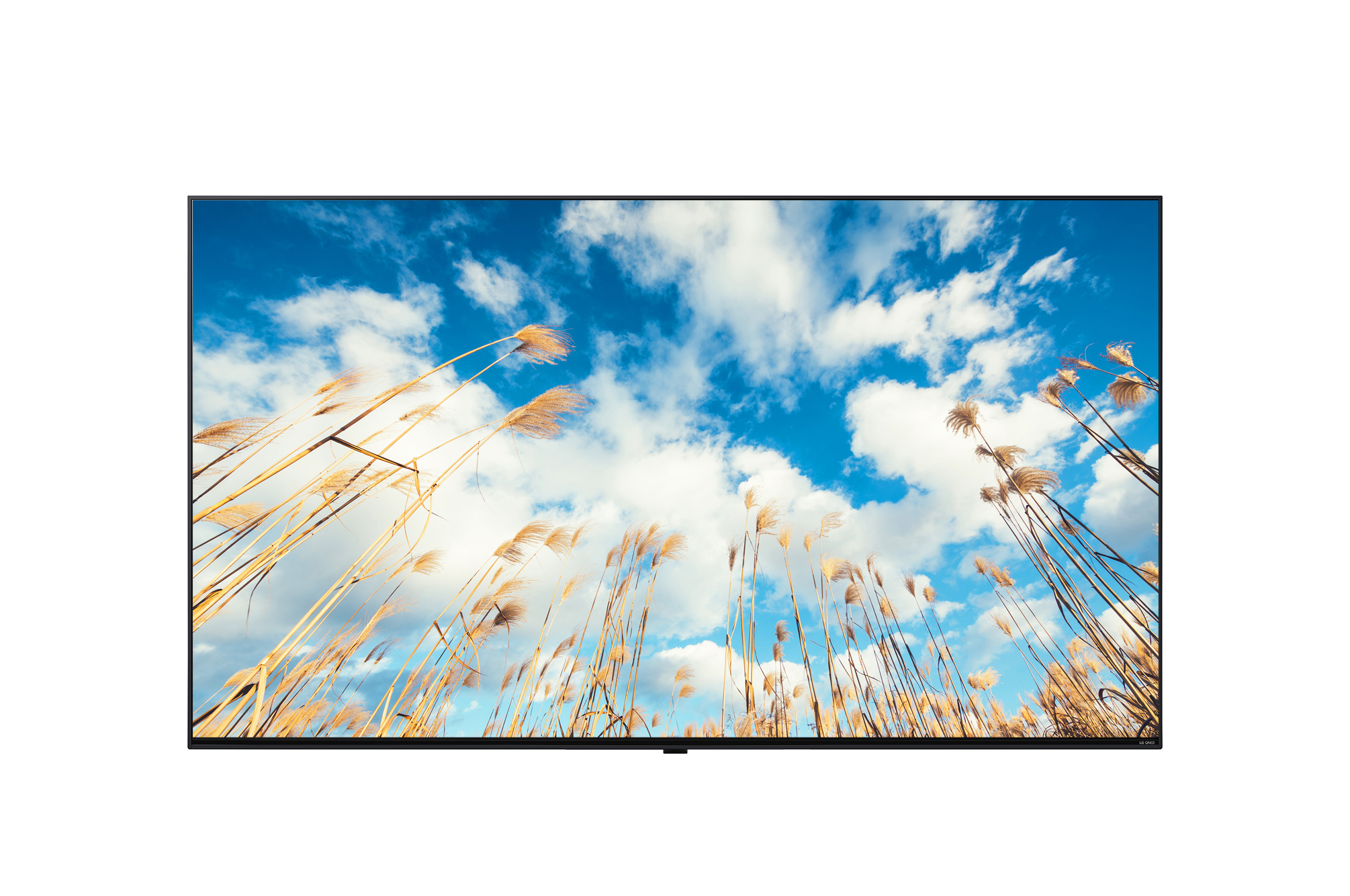 LG Hotel TV 65UM767H