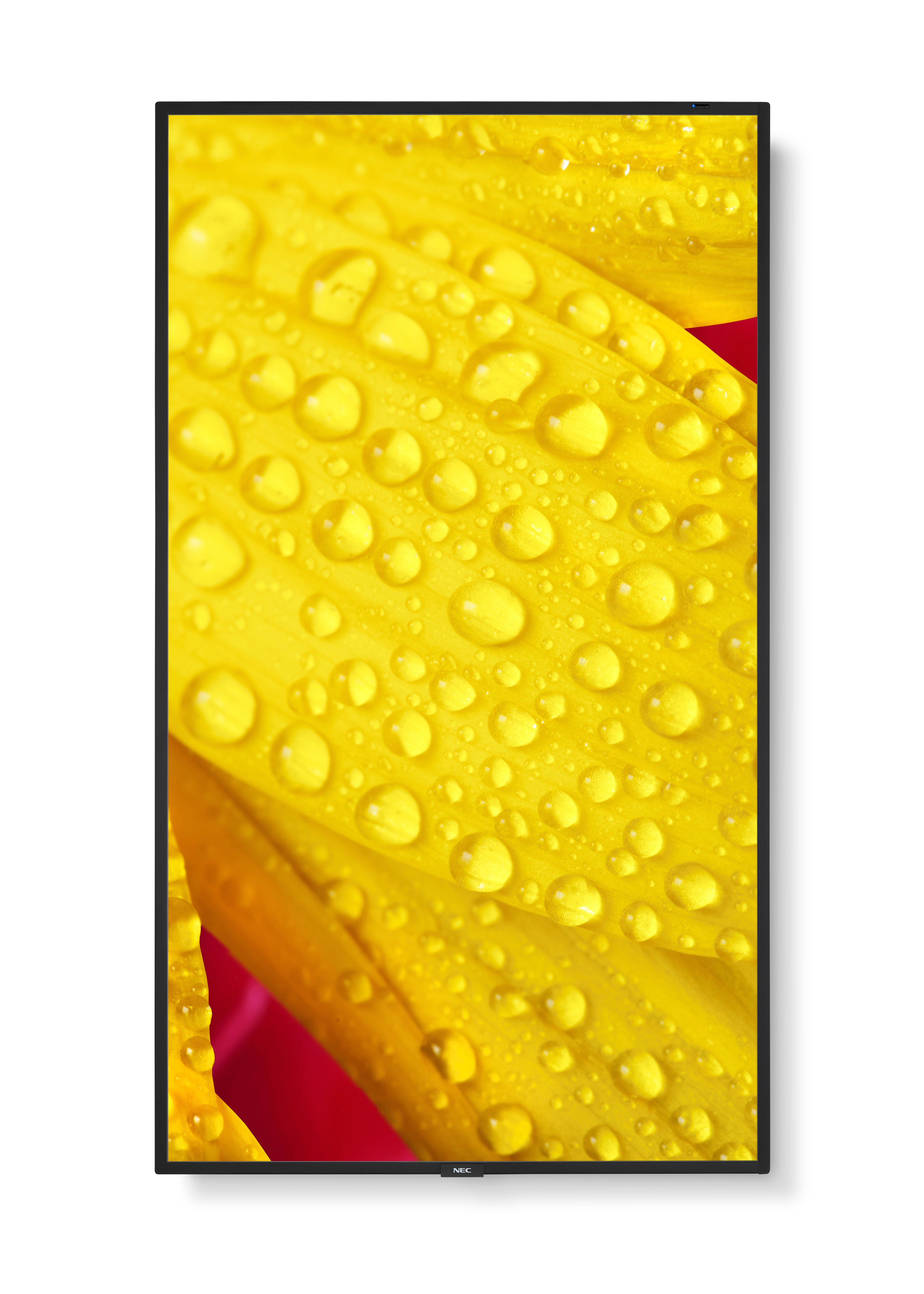 NEC Large Format Display M551-2