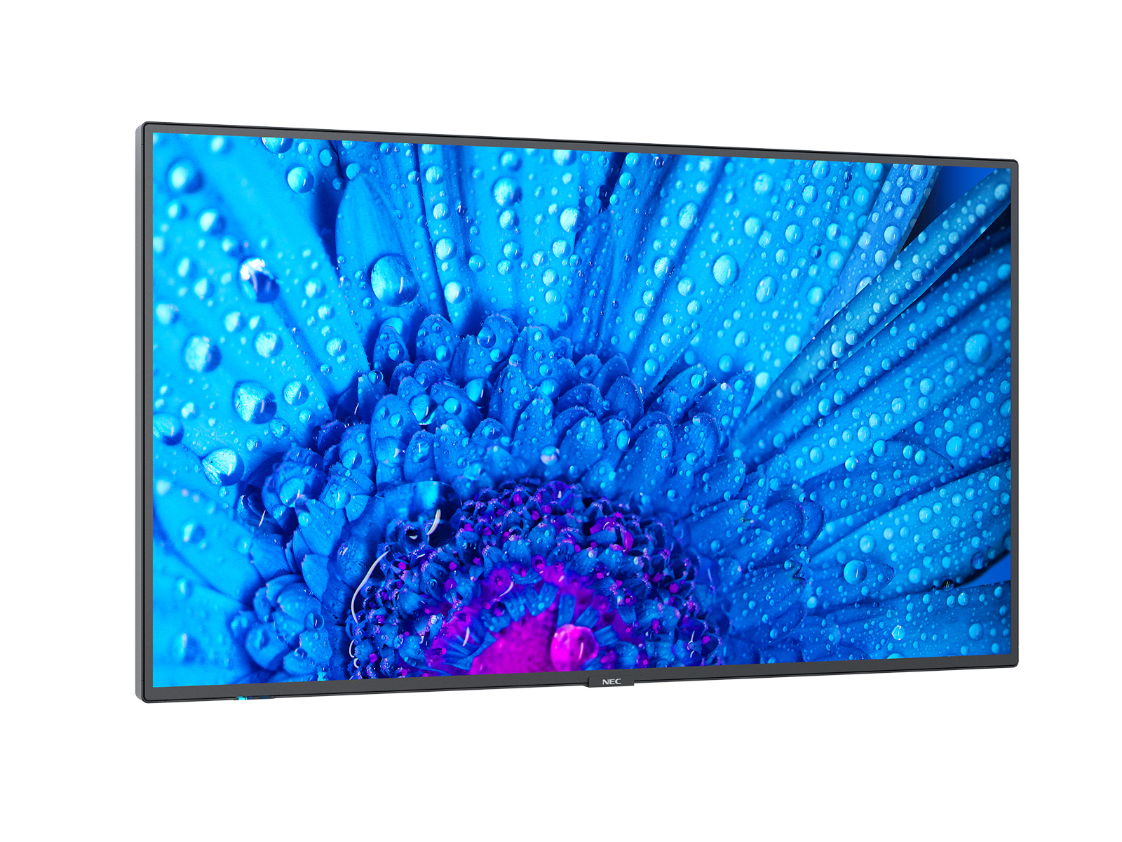 NEC MultiSync M651
