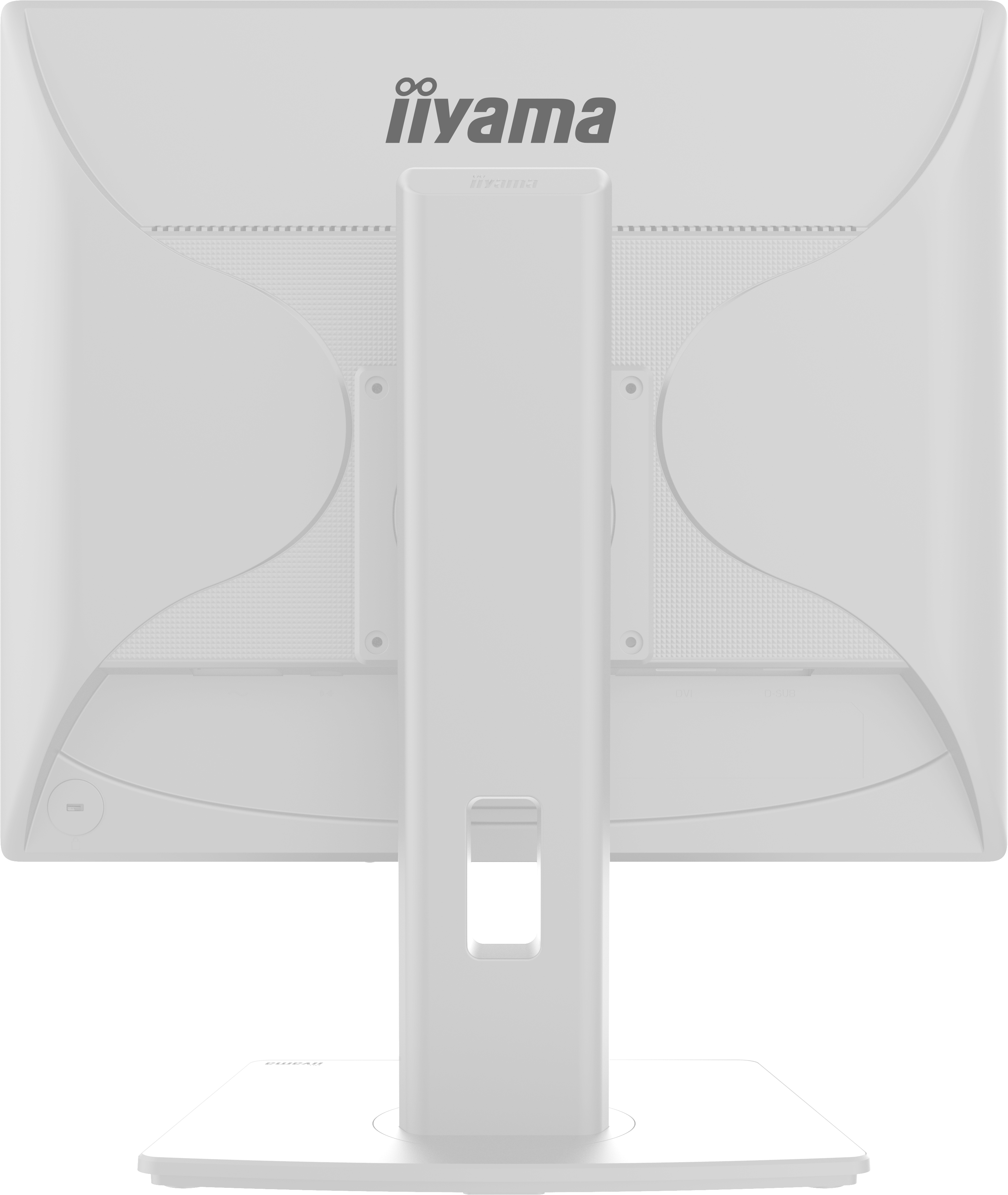 IIYAMA Monitor B1980S-W1