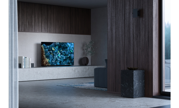 Sony Display 55" OLED Tuner and 3yrs PrimeSupport FWD-55A80L