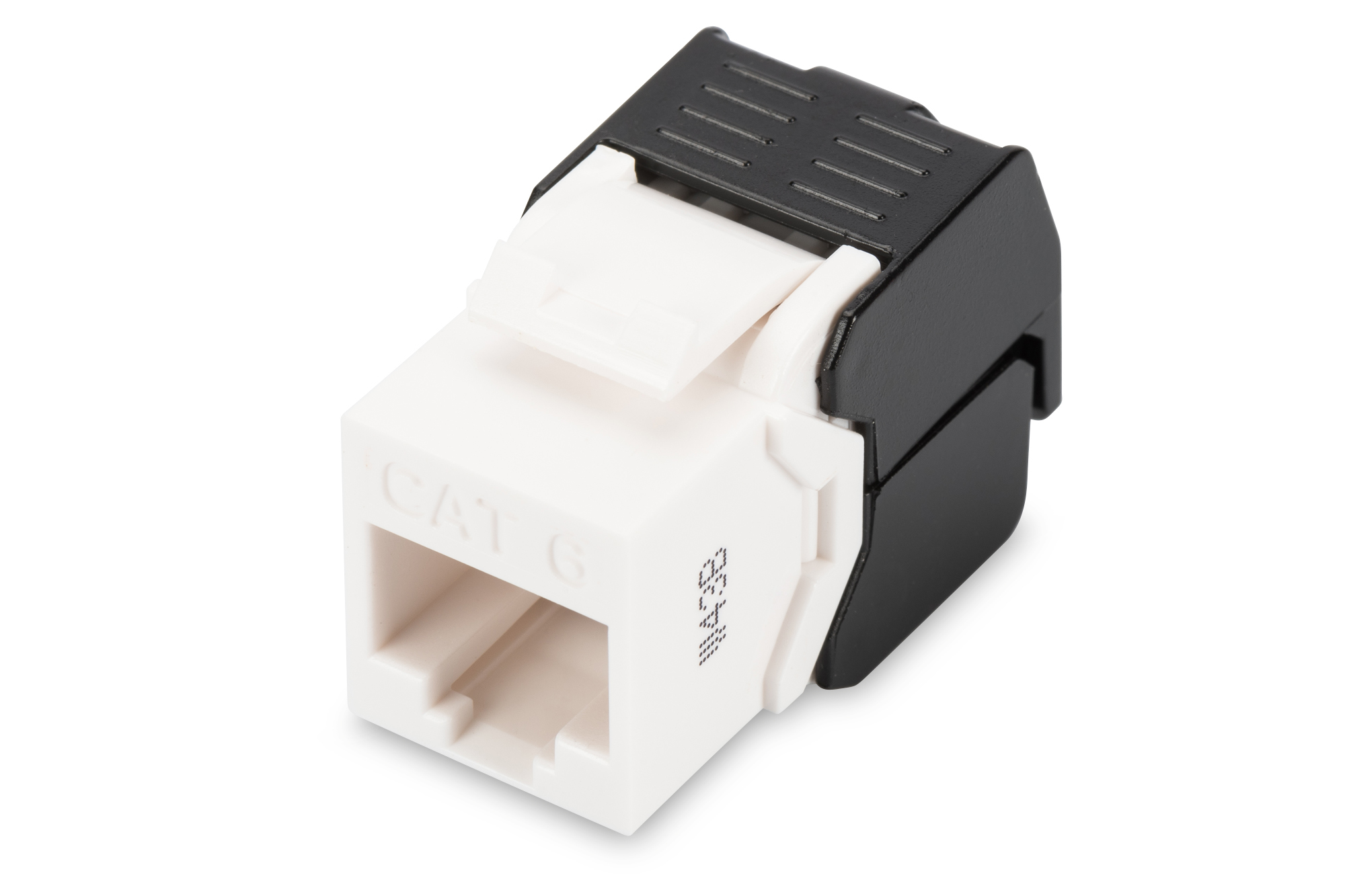 RJ45, Cat6, Ethernet-Steckverbinder, Keystone-Steckverbinder, Netzwerk-Modul