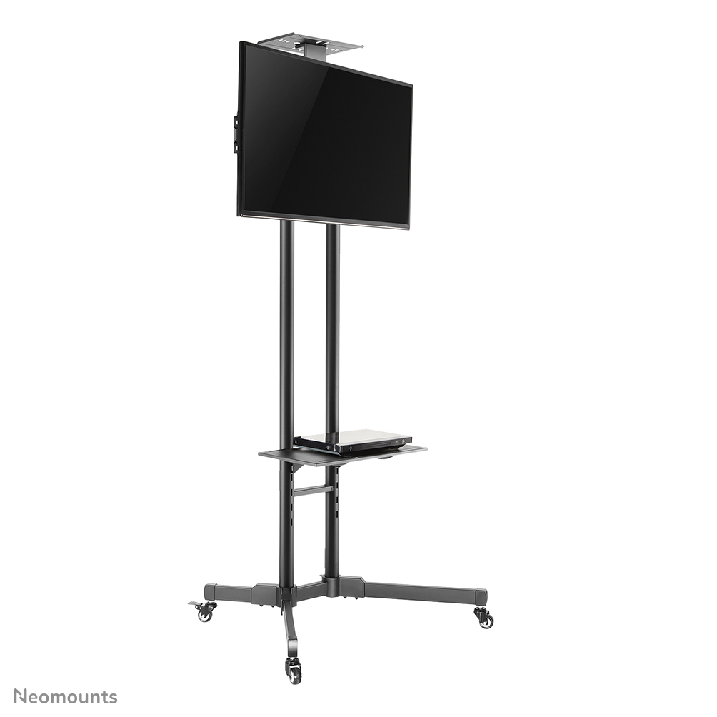 Neomounts Mobiler Flachbild Ständer - 50 kg - 177,8 cm (70") - 81,3 cm (32") - 200 x 200 mm - 600 x 400 mm - 1550 - 1700 mm