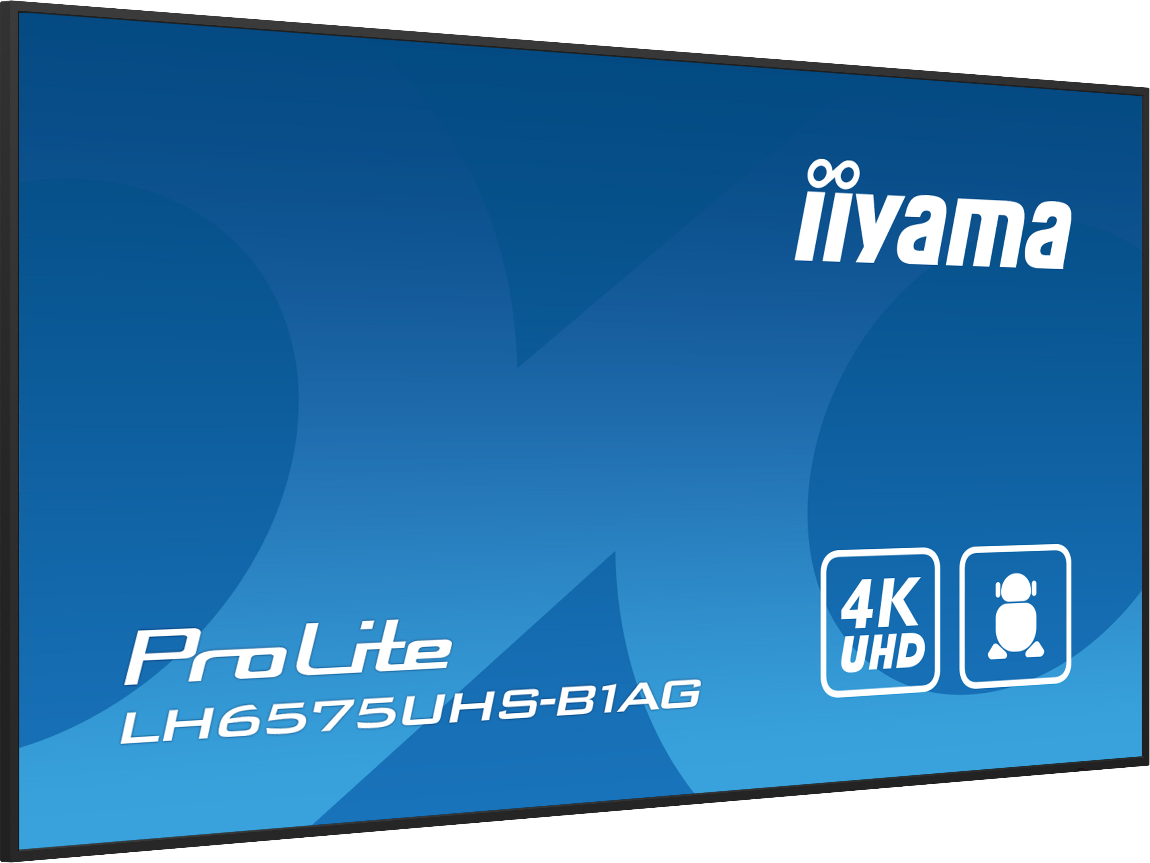 IIYAMA LFD ProLite LH6575UHS-B1AG