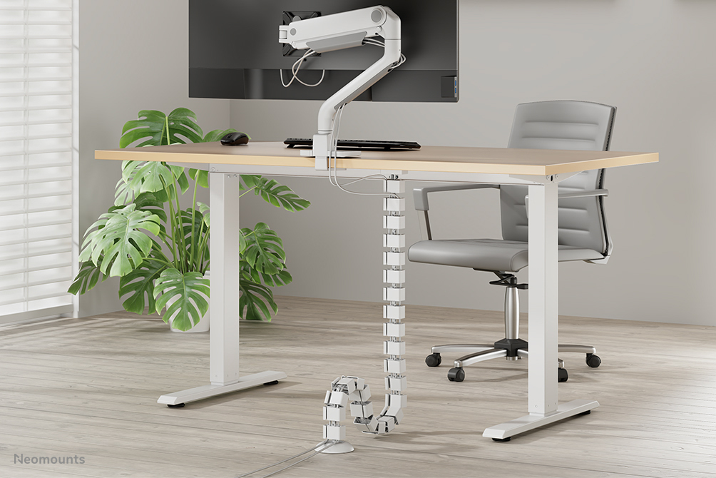 Schreibtisch, Mobiliar, Tabelle, Stuhl, Pflanze