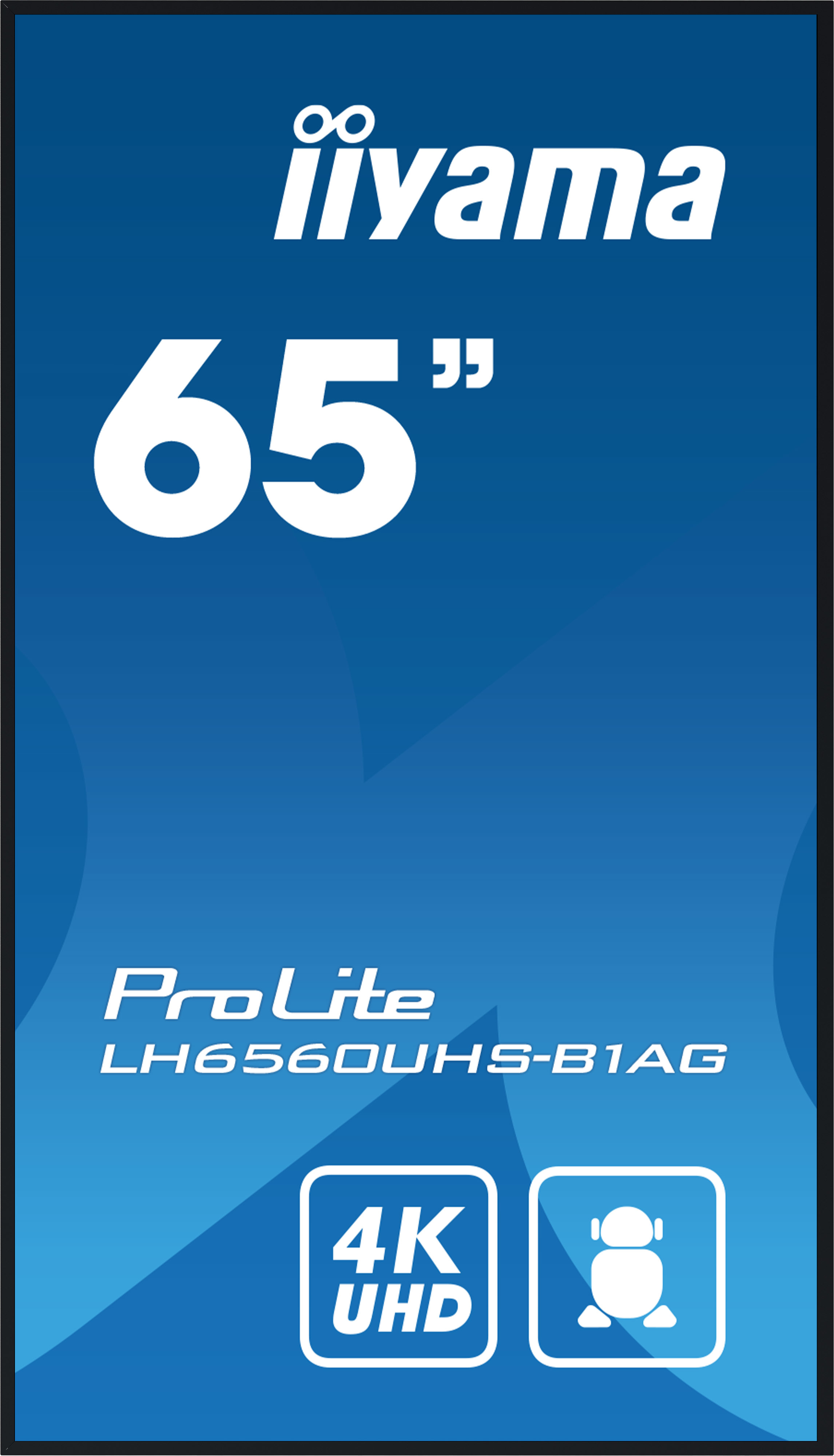 IIYAMA LFD ProLite LH6560UHS-B1AG