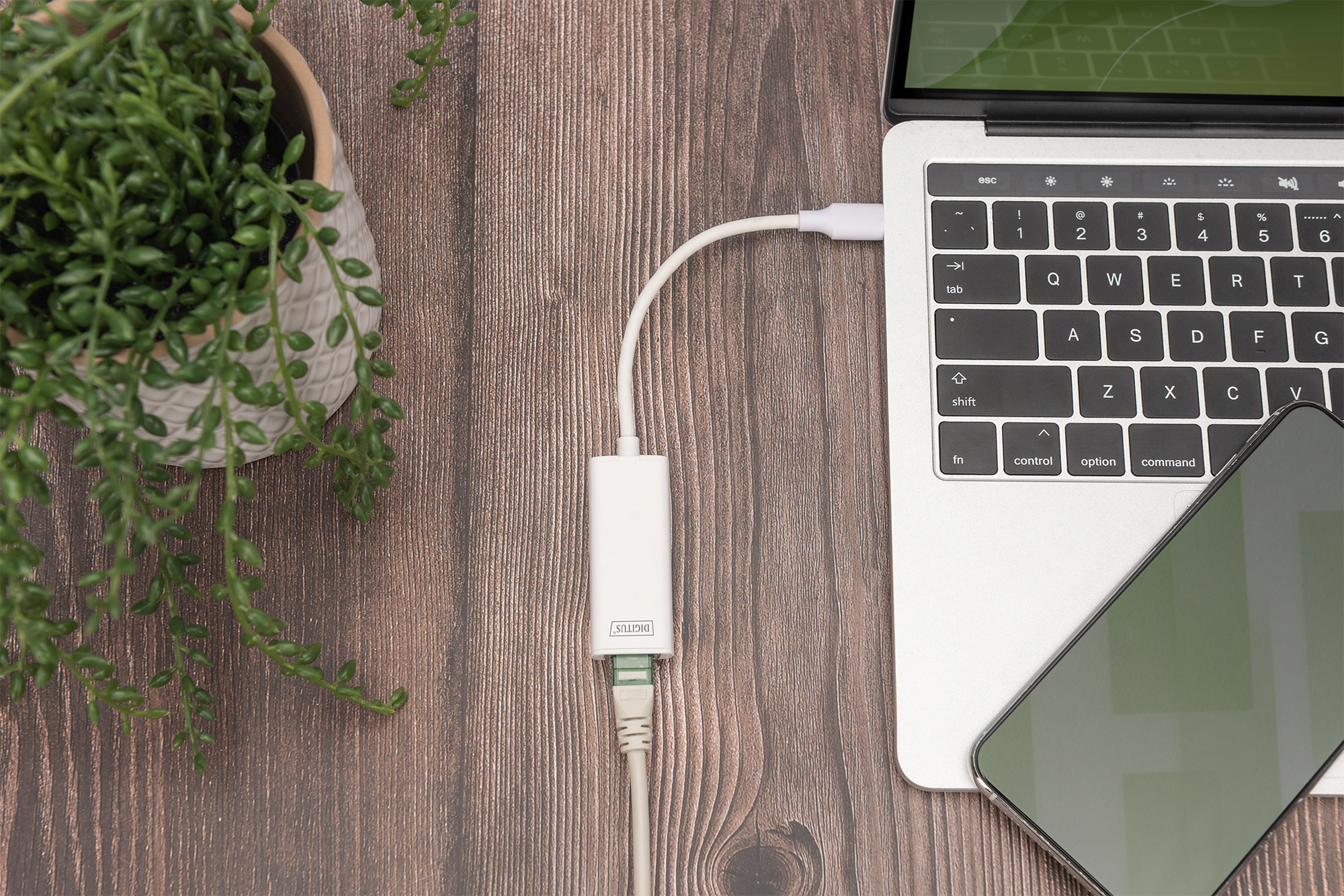 USB-C Adapter, Laptop, Kabel, Tablet, Grüne Pflanze