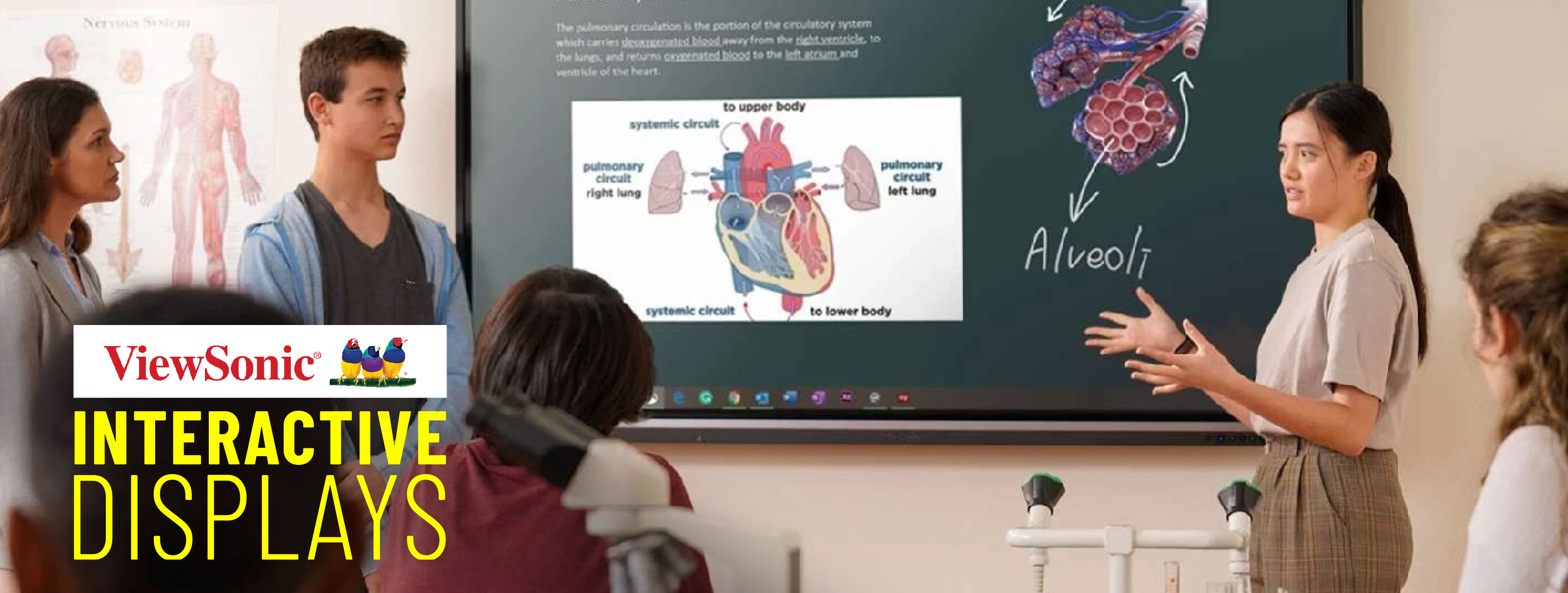 ViewSonic Interactive Displays 2