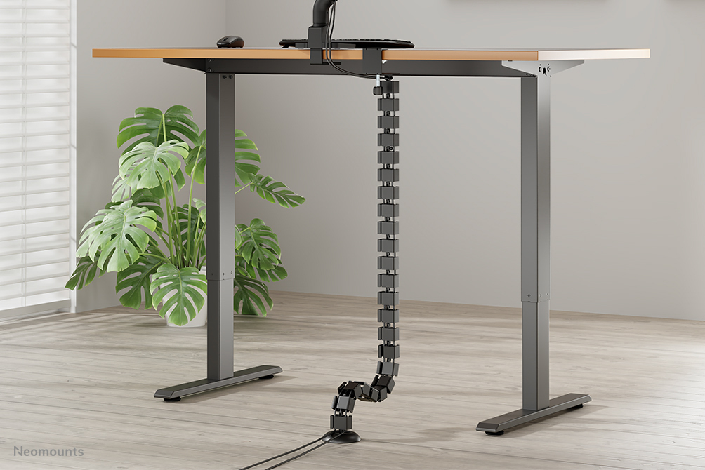 Schreibtisch, Mobiliar, Tabelle, Pflanze, Stehpult