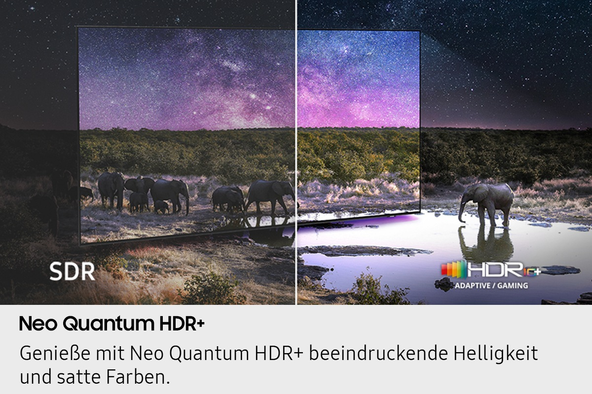 Grünland, Natur, Im Freien, Nacht, Elefant