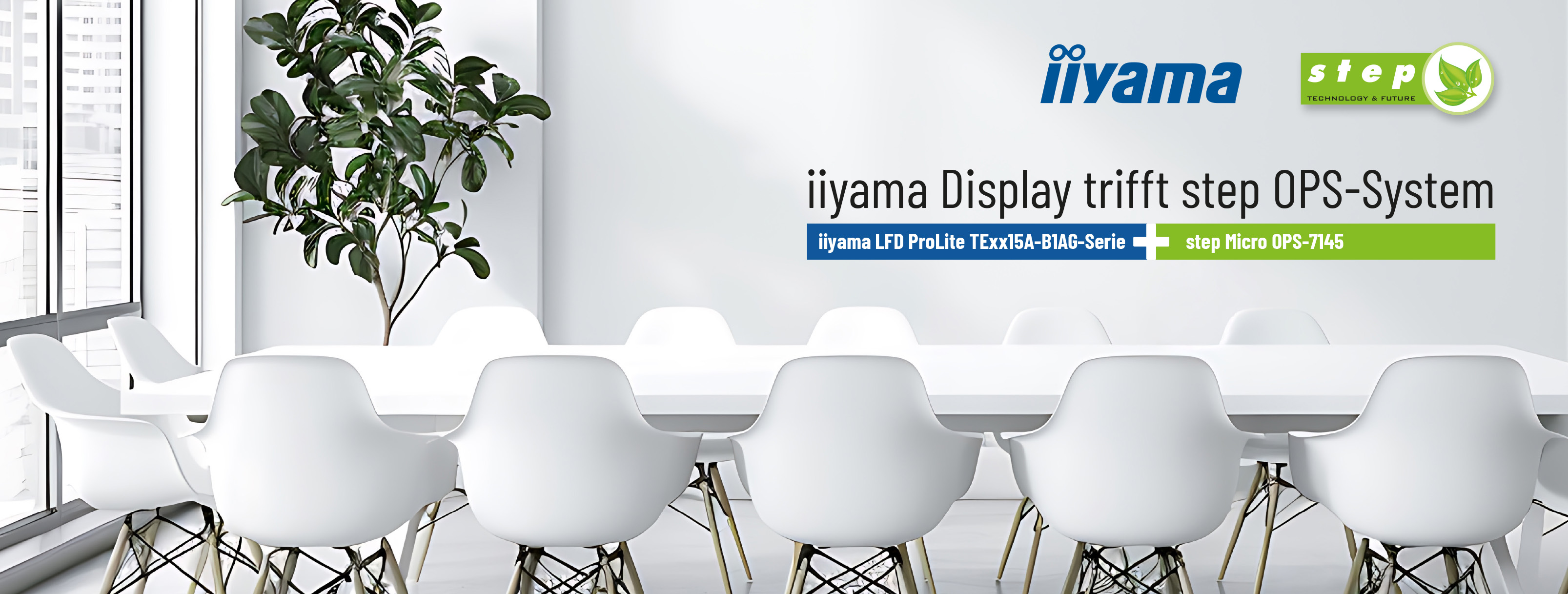 Esstisch, Tisch, Topfpflanze, Esszimmer, Innenarchitektur