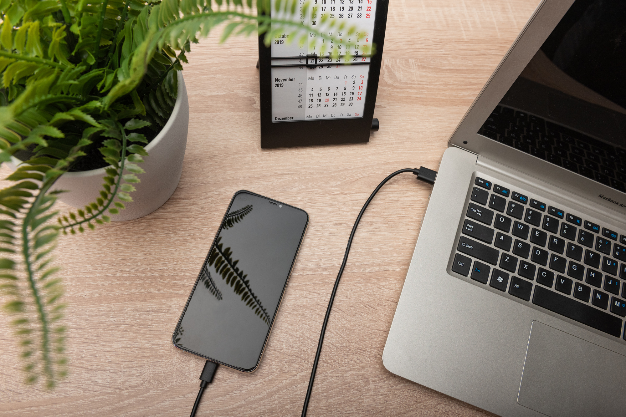 Laptop, Smartphone, USB-C Kabel, Schreibtisch, Pflanze